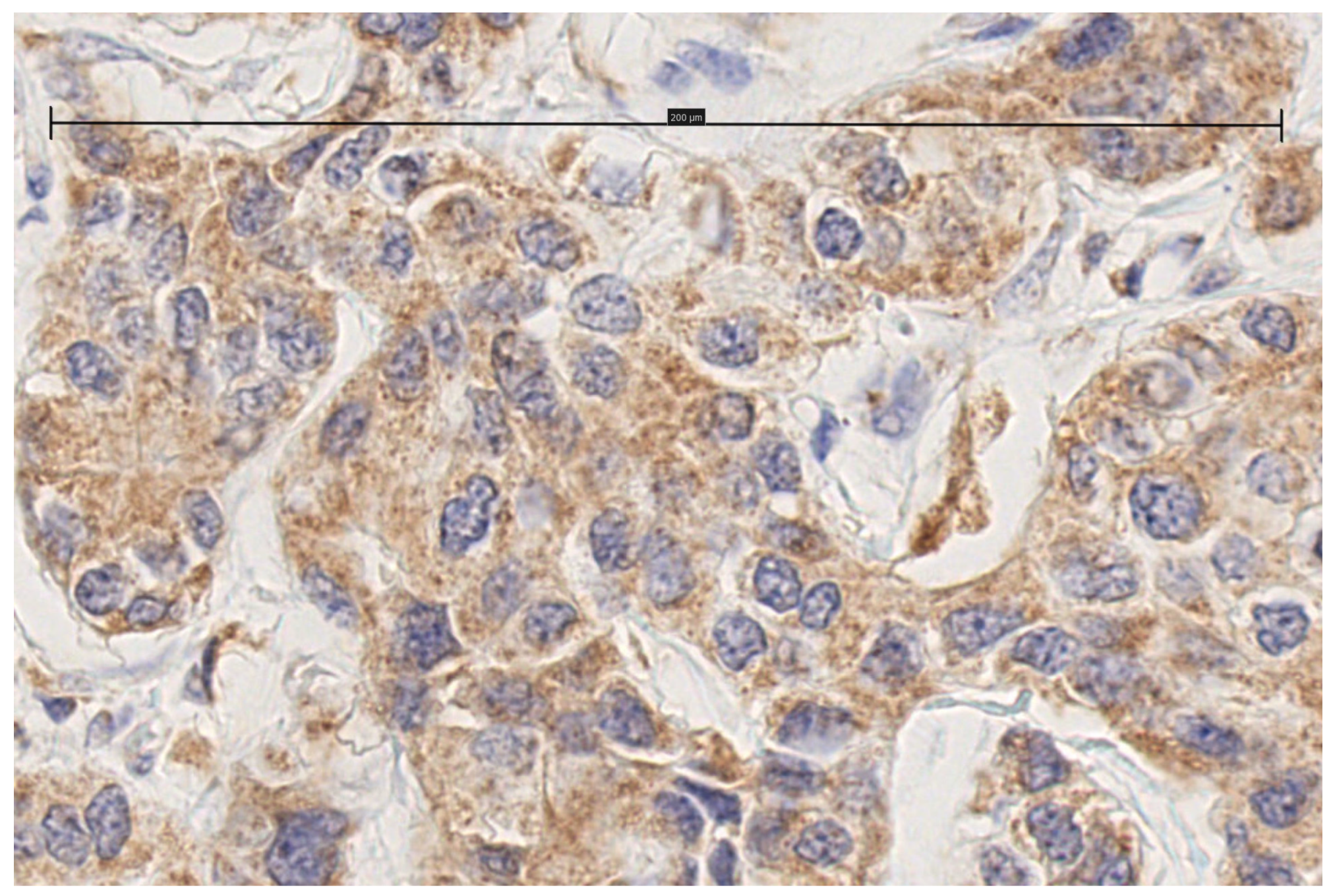Biomolecules 15 00581 g002