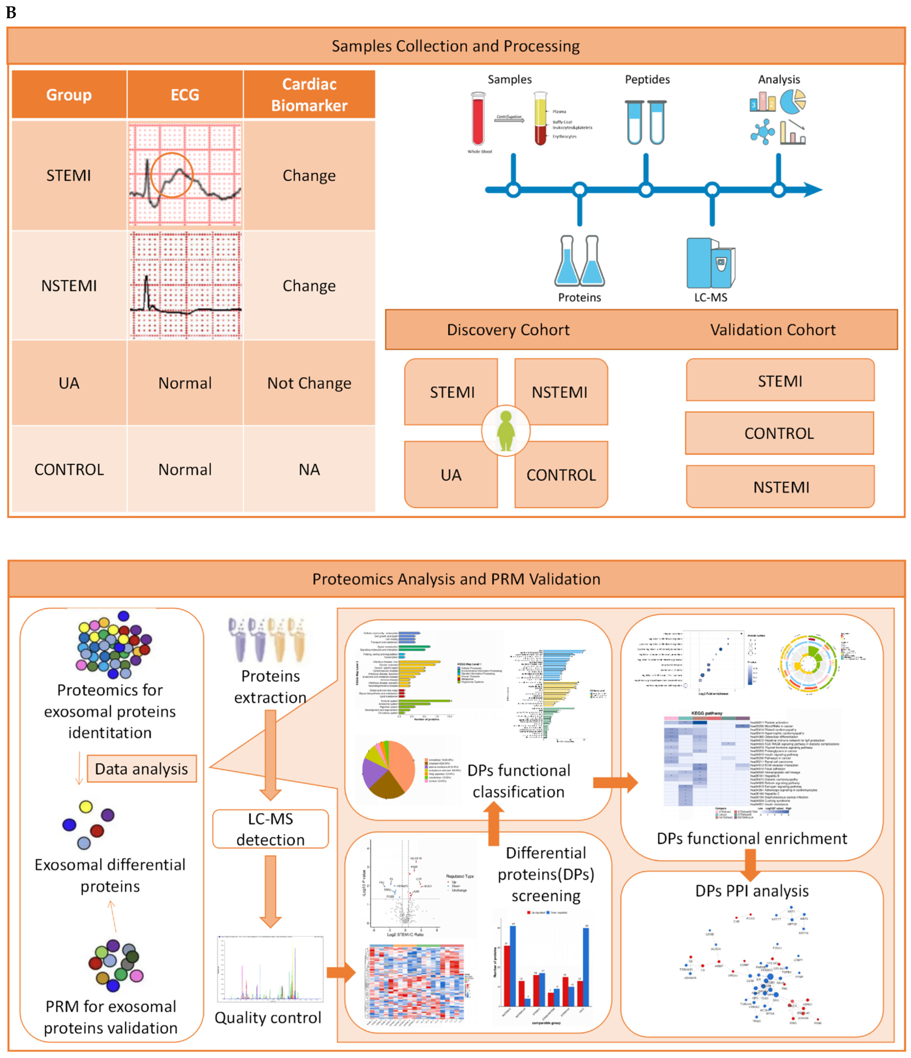 Biomolecules 15 00583 g001b