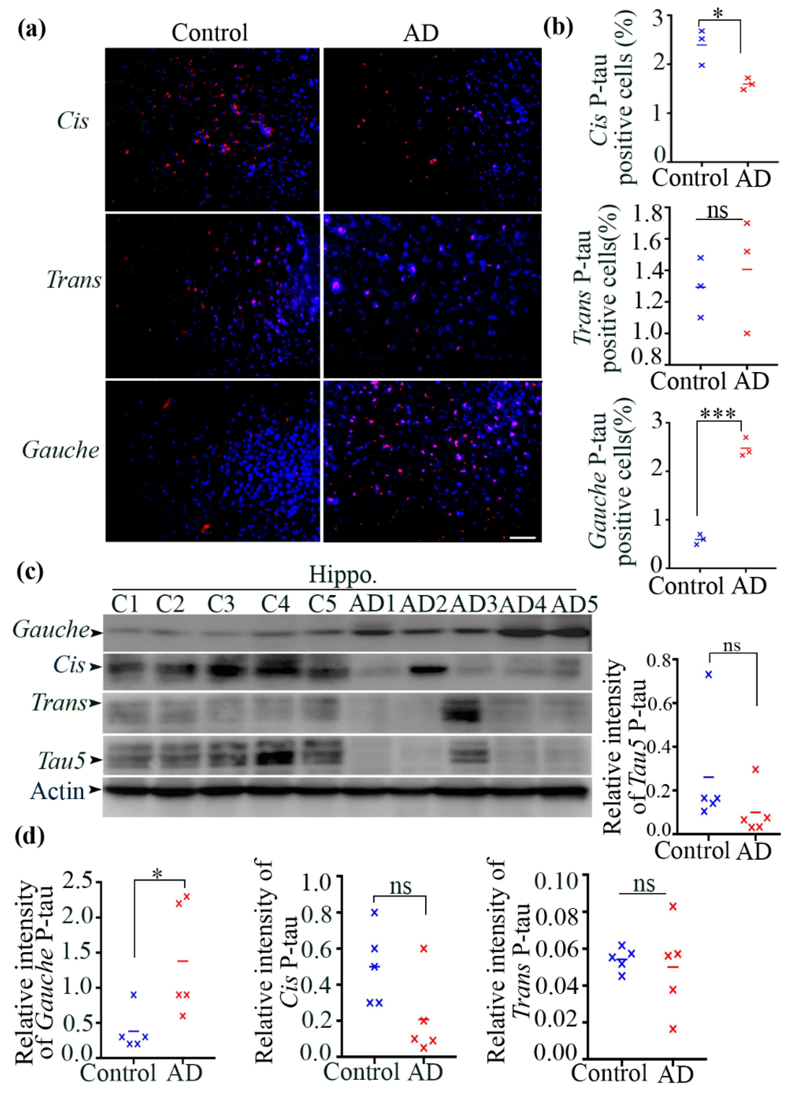 Biomolecules 15 00585 g001