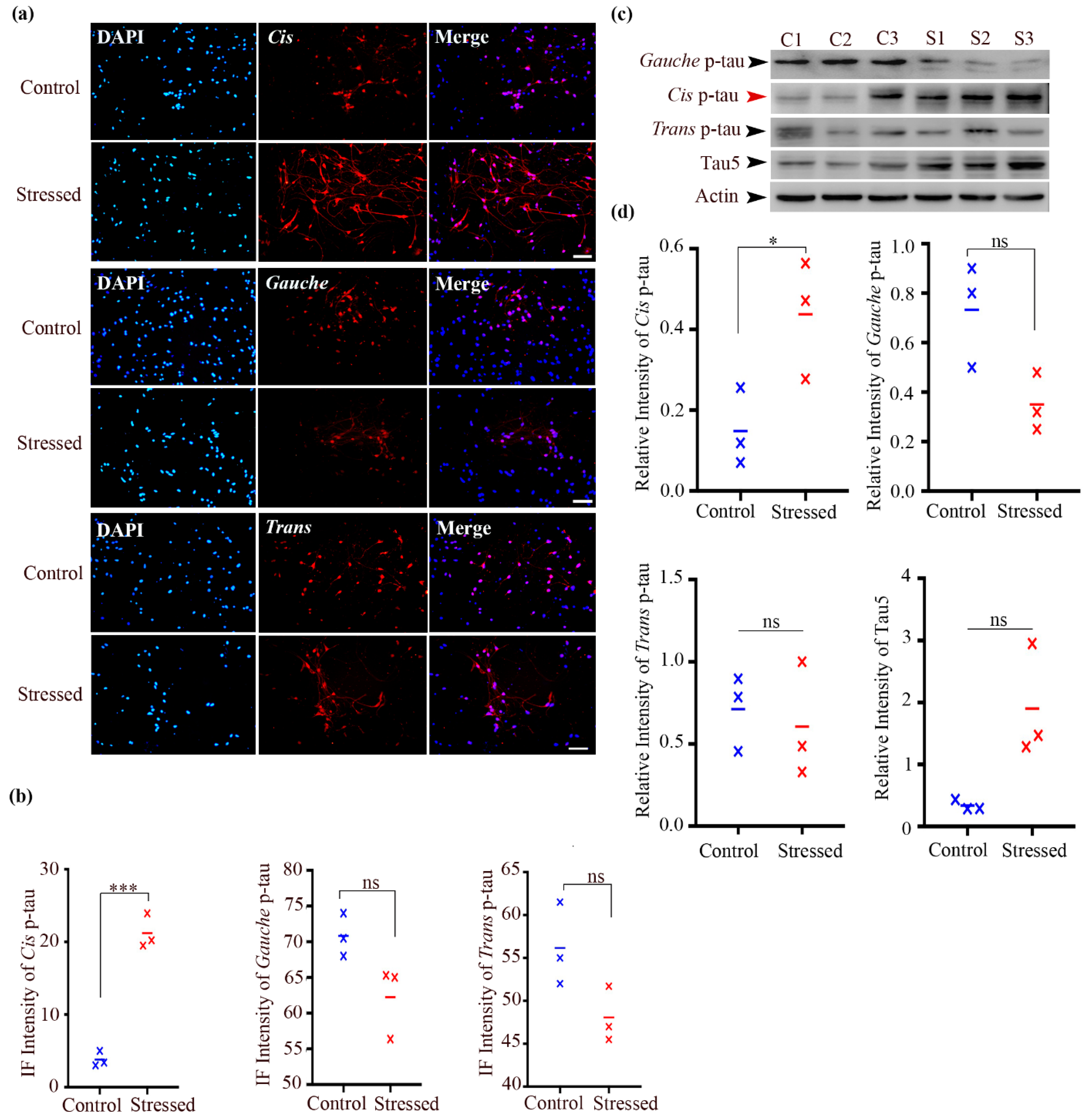Biomolecules 15 00585 g002