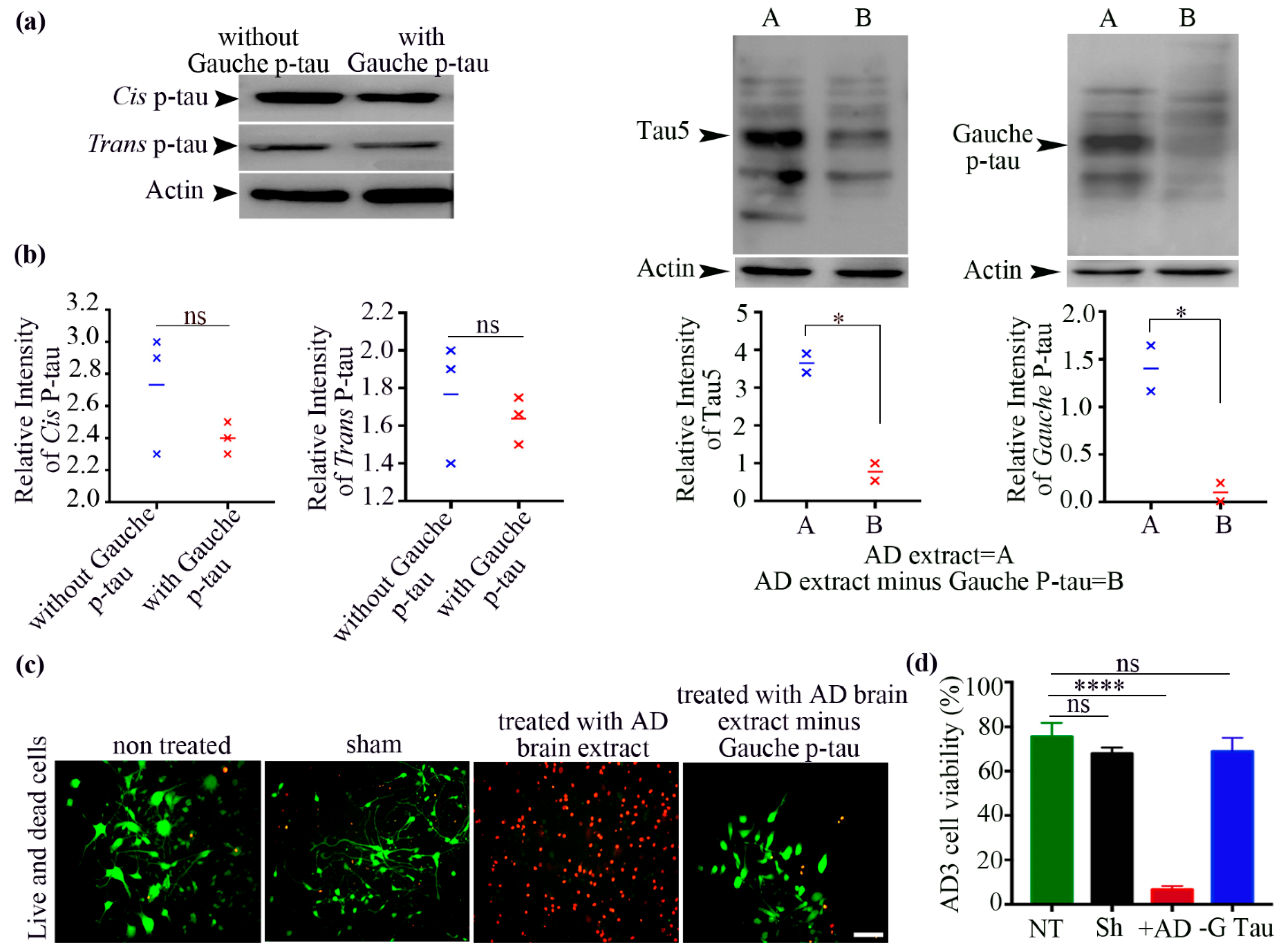 Biomolecules 15 00585 g004