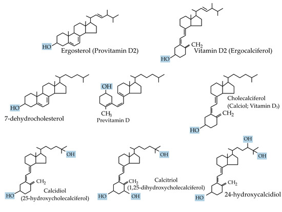 Vitamin D and Acute Kidney Injury: A Reciprocal Relationship Vitamin D and Acute Kidney Injury: A Reciprocal Relationship