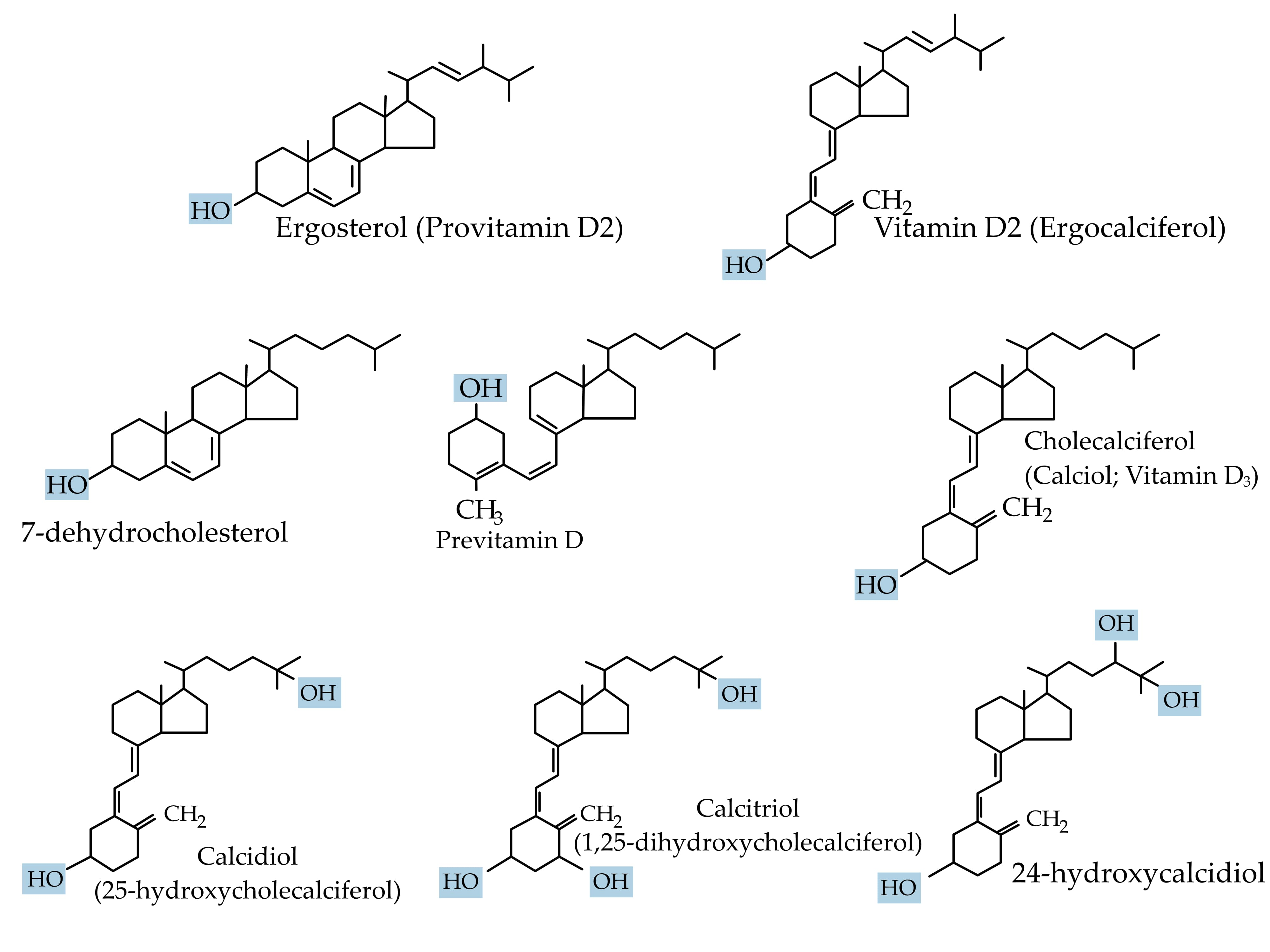 Biomolecules 15 00586 g001
