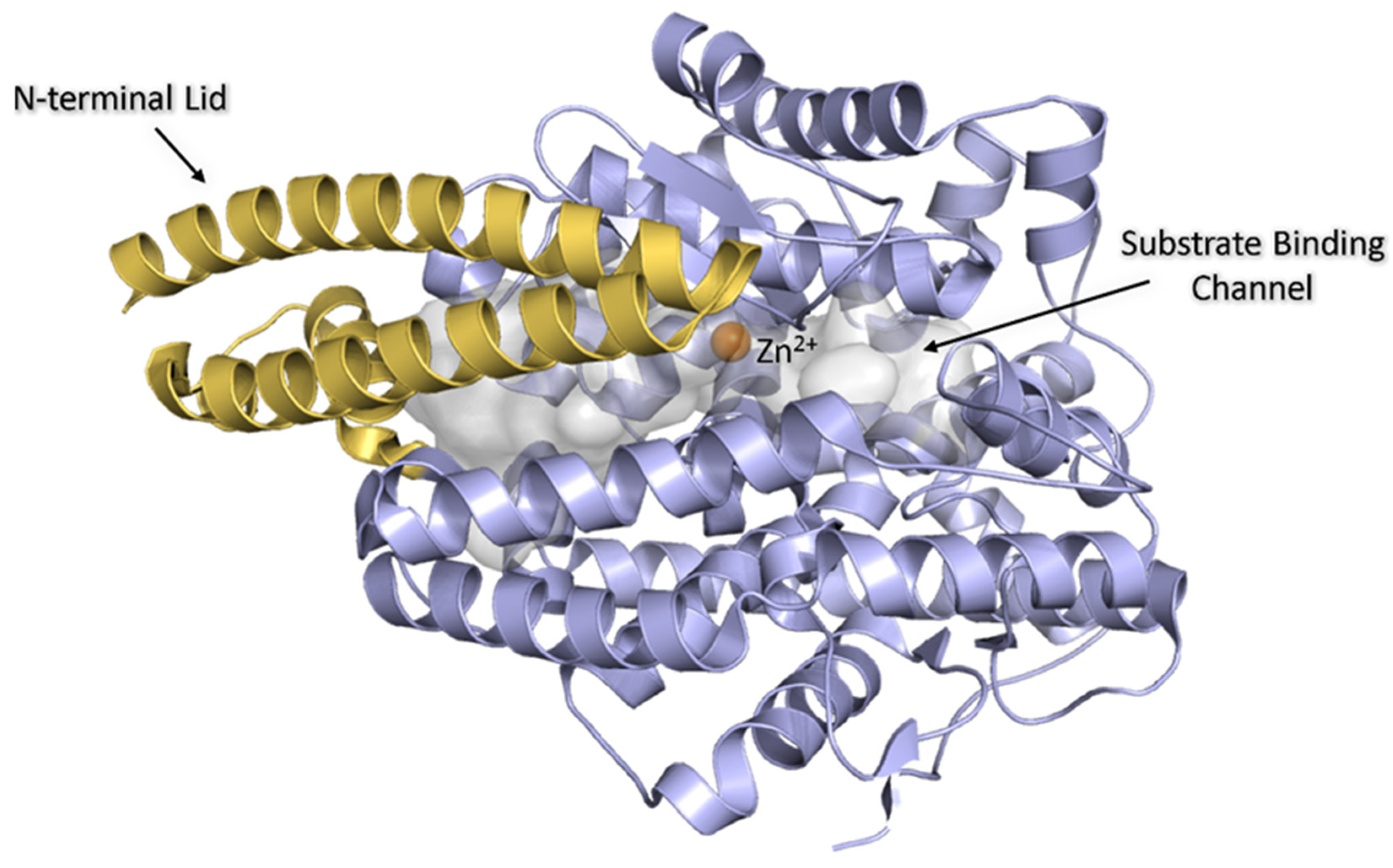 Biomolecules 15 00591 g001