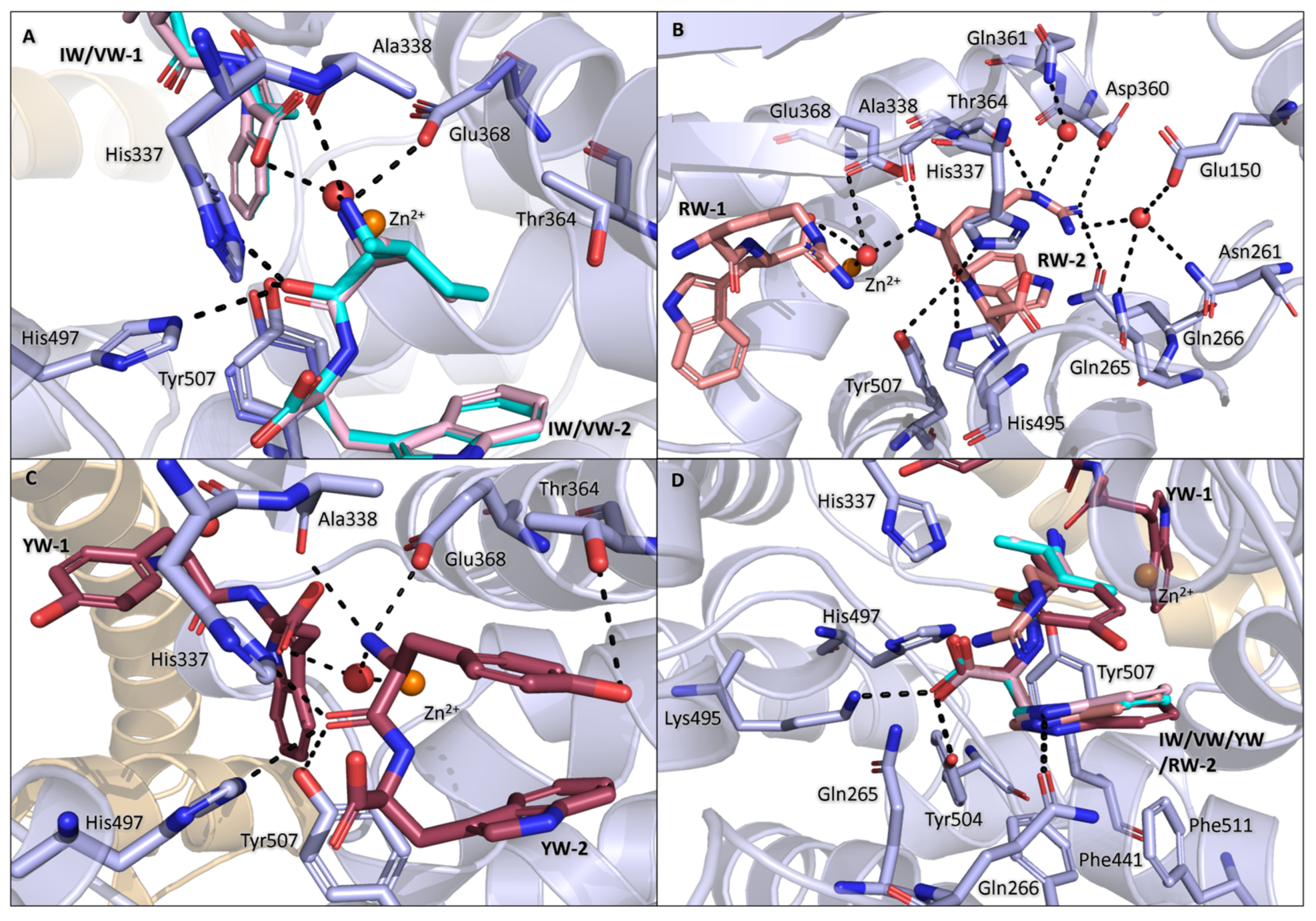 Biomolecules 15 00591 g004