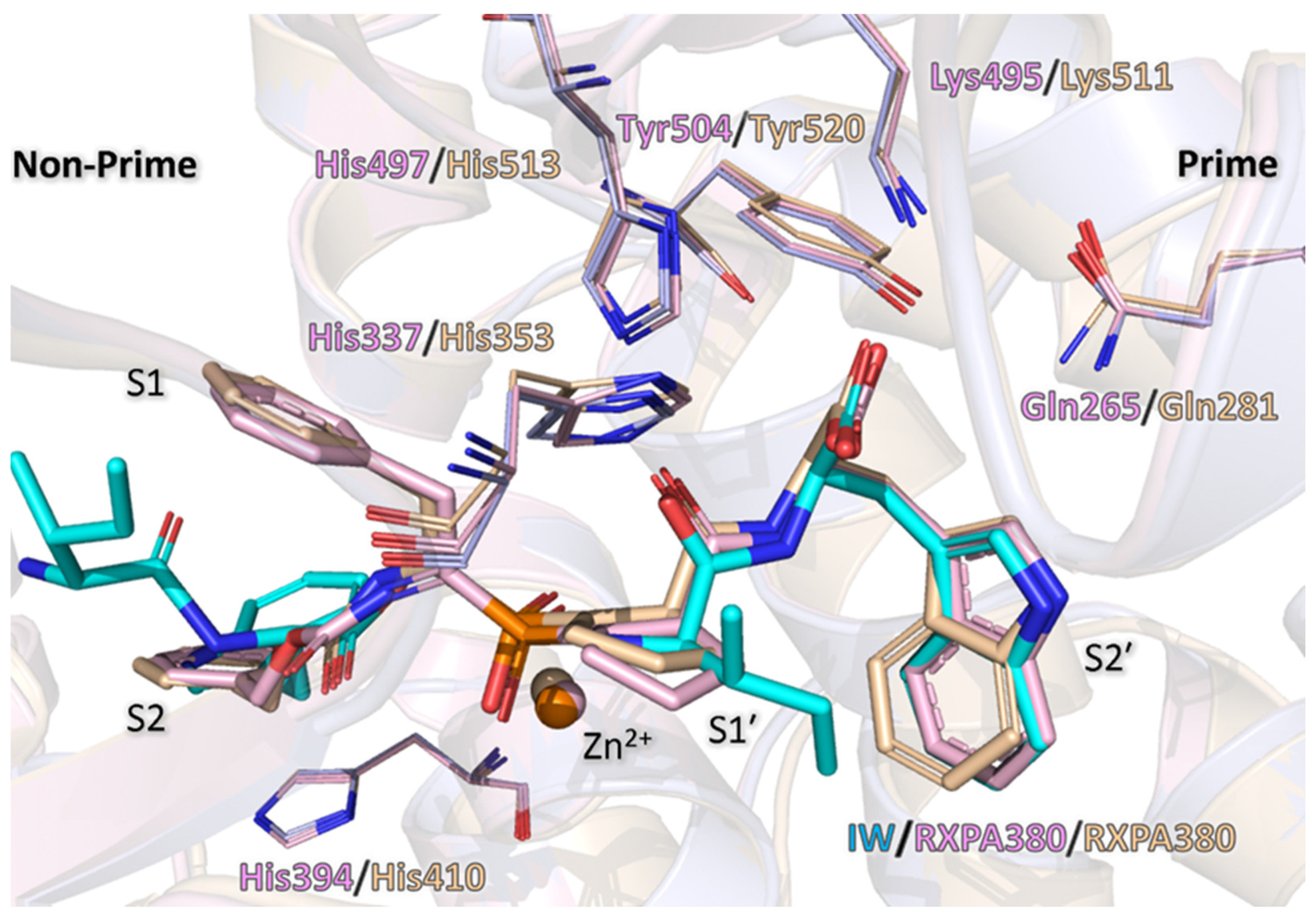 Biomolecules 15 00591 g008