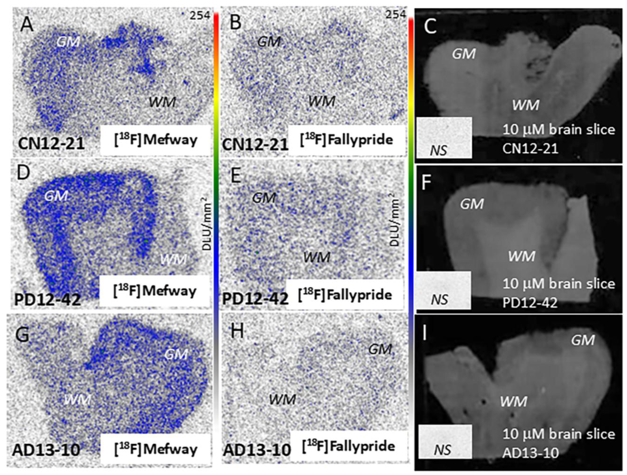 Biomolecules 15 00592 g007