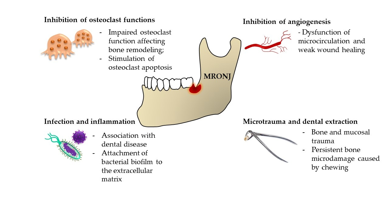 Biomolecules 15 00595 g001