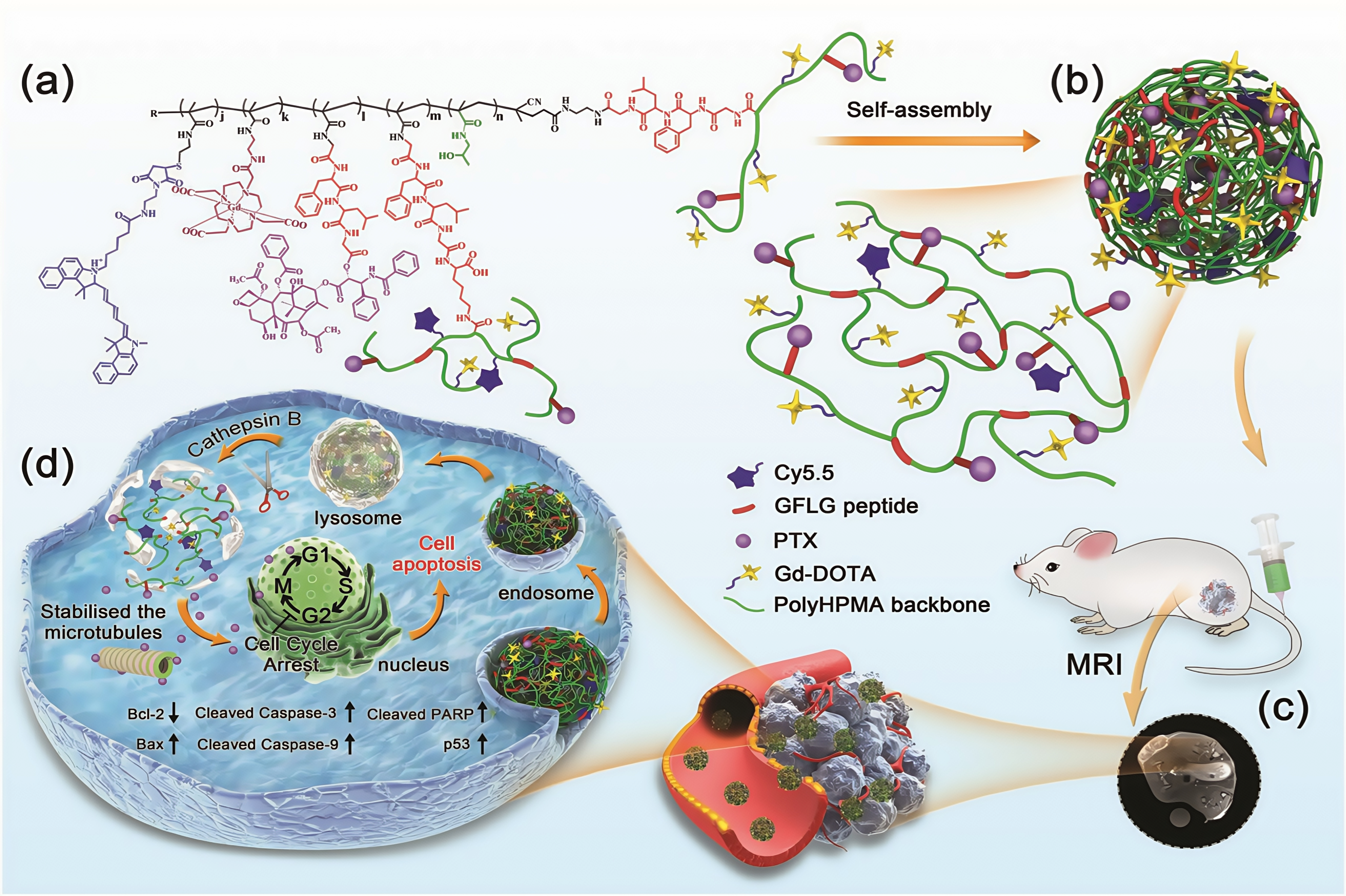 Biomolecules 15 00596 g006