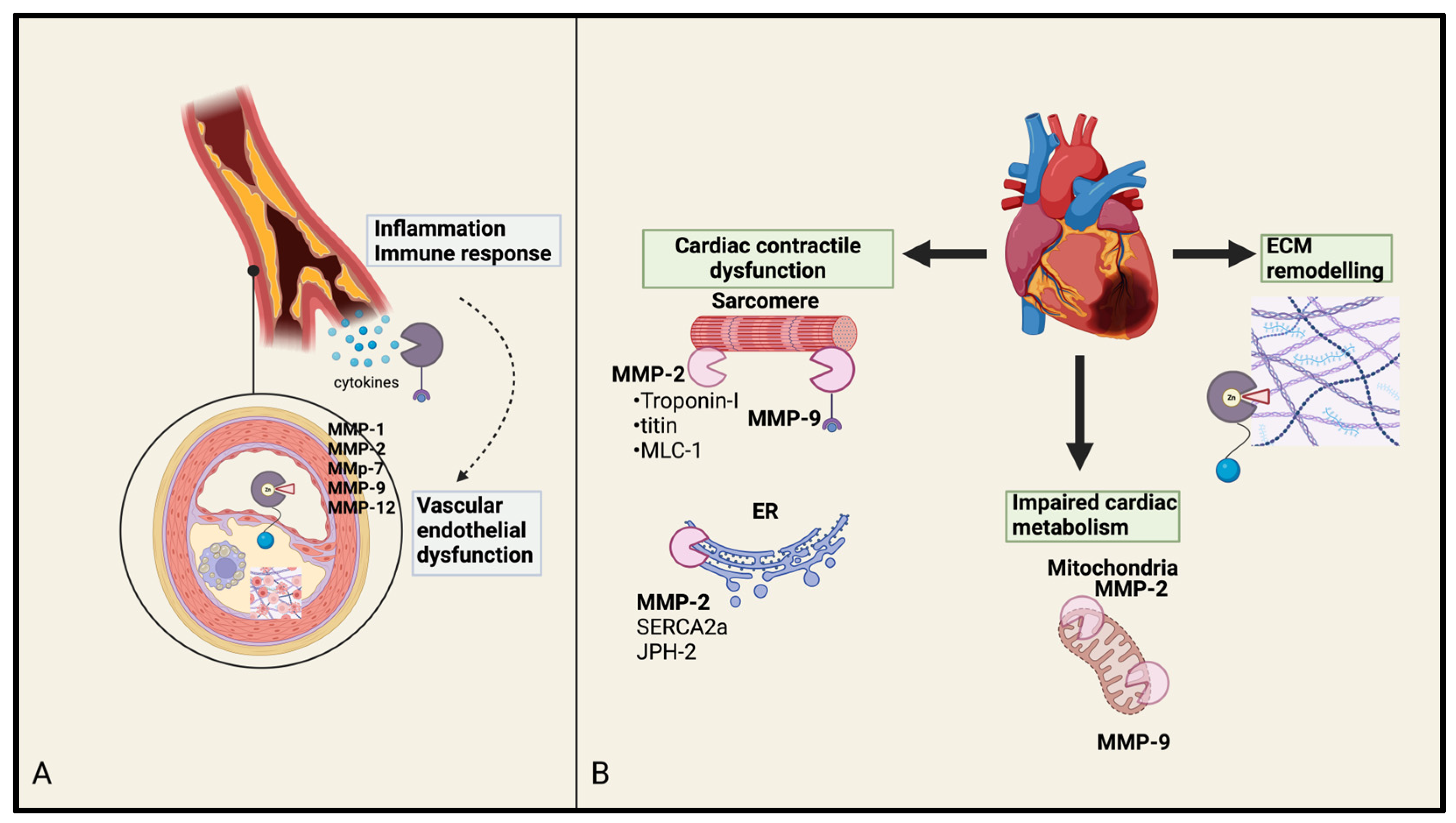 Biomolecules 15 00598 g002