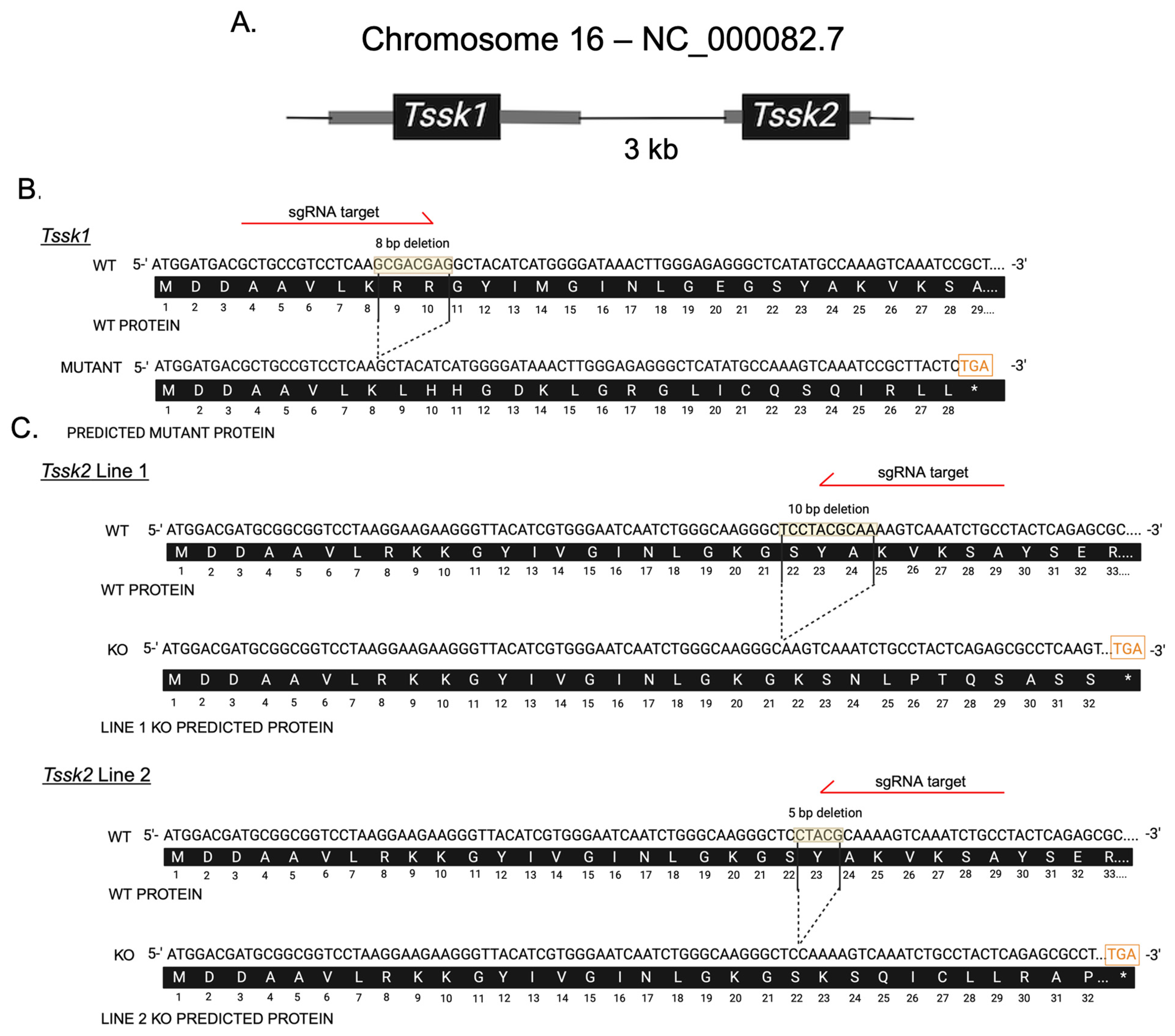Biomolecules 15 00601 g001