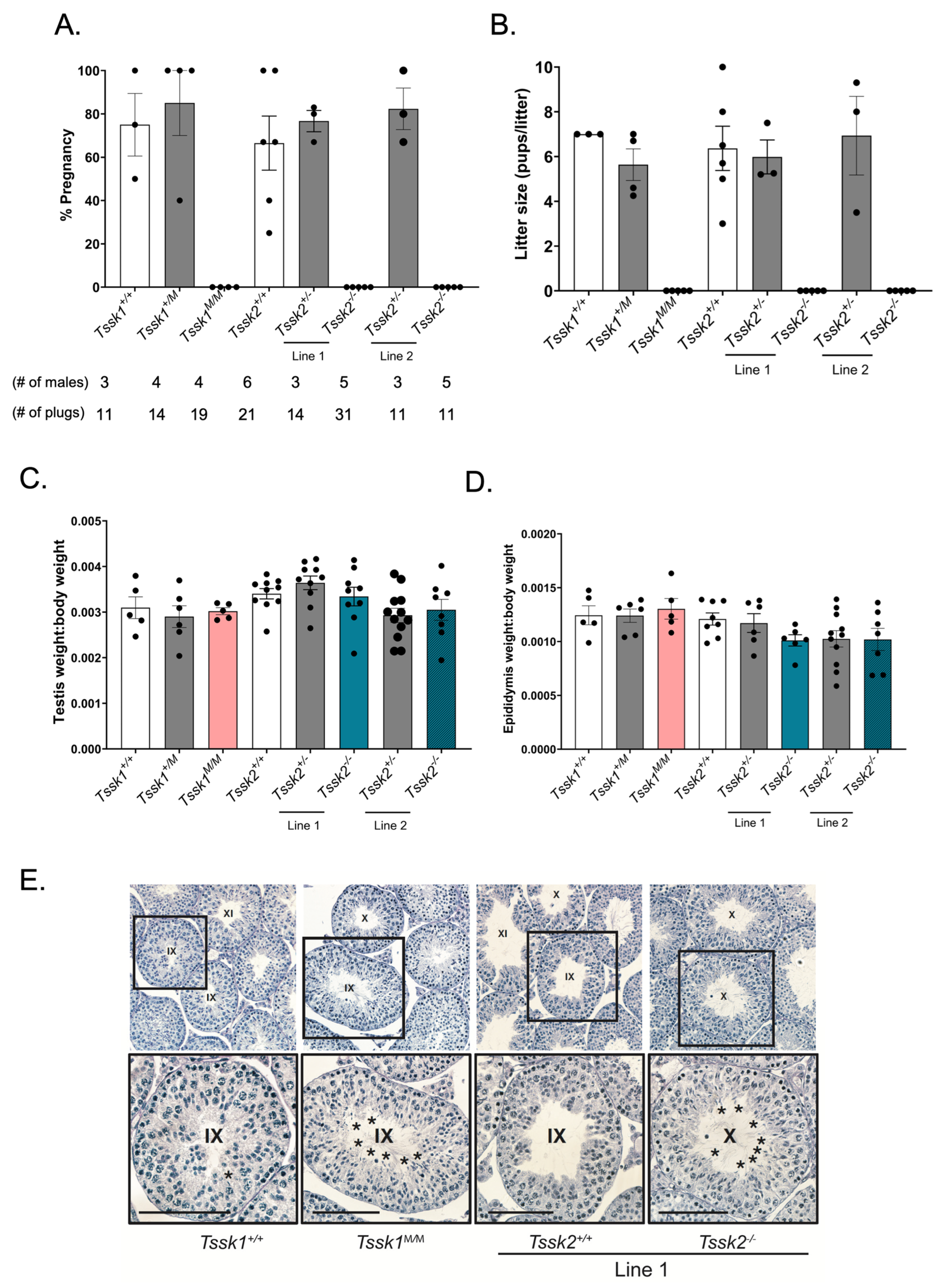 Biomolecules 15 00601 g002