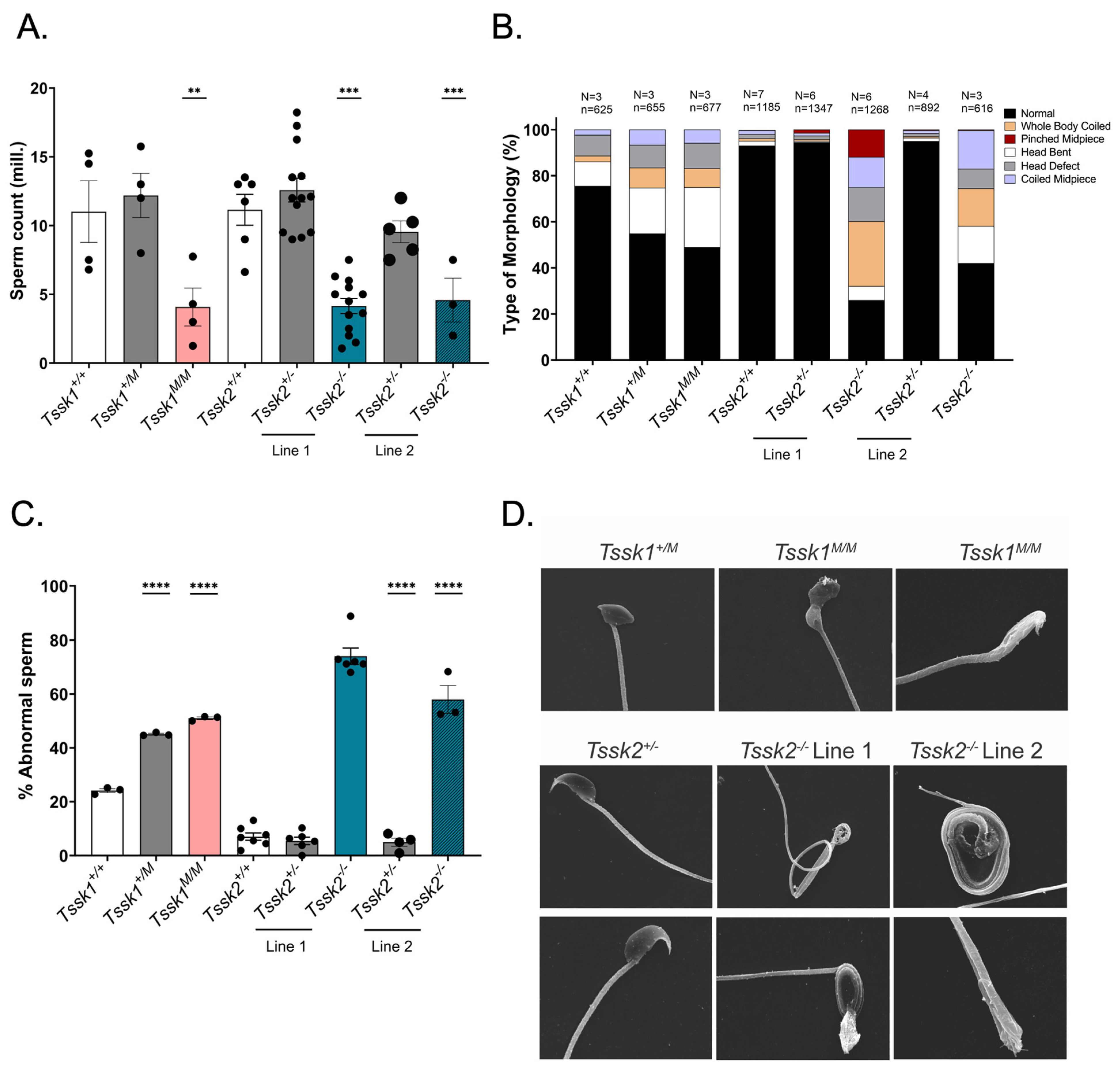 Biomolecules 15 00601 g003