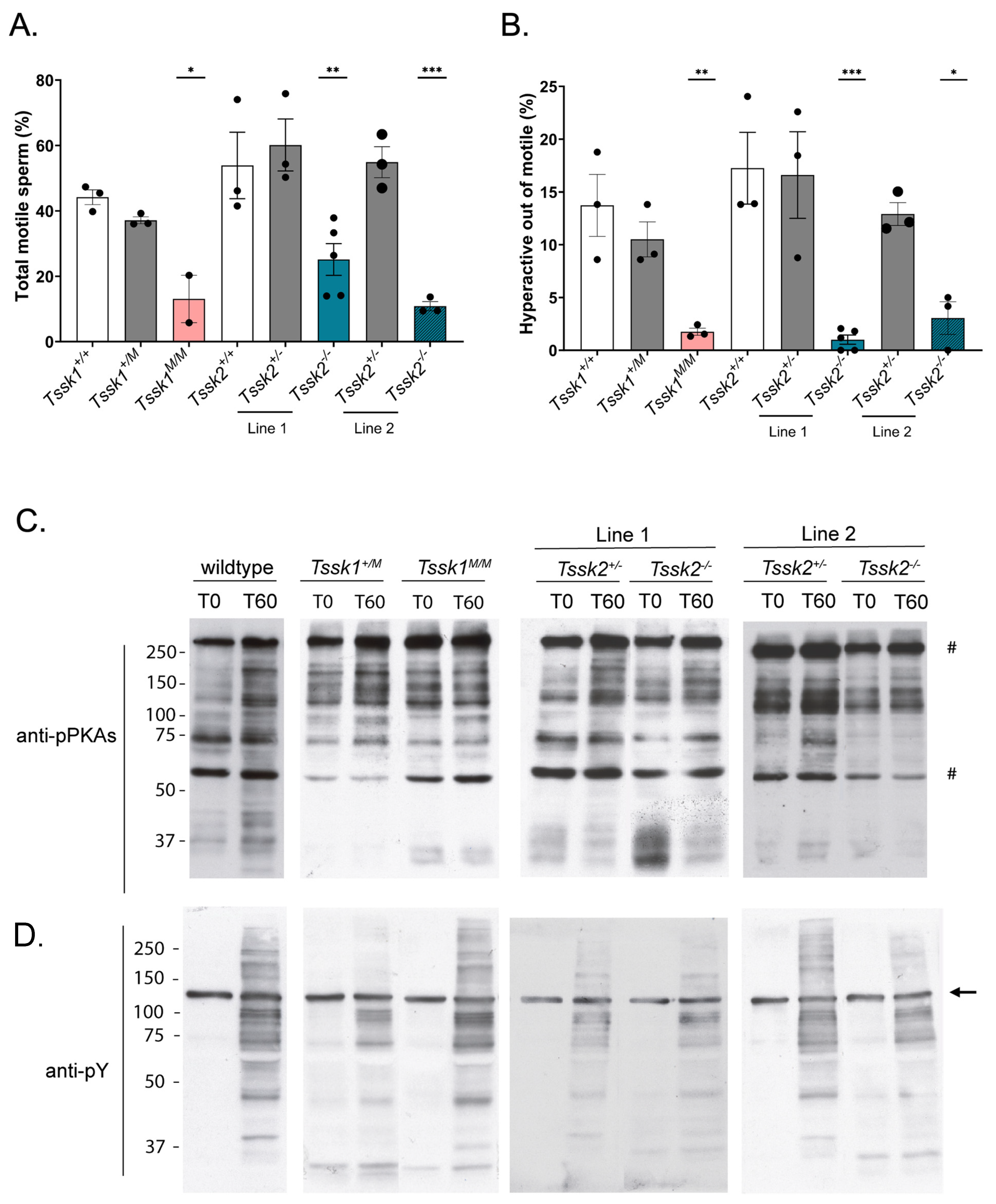 Biomolecules 15 00601 g004