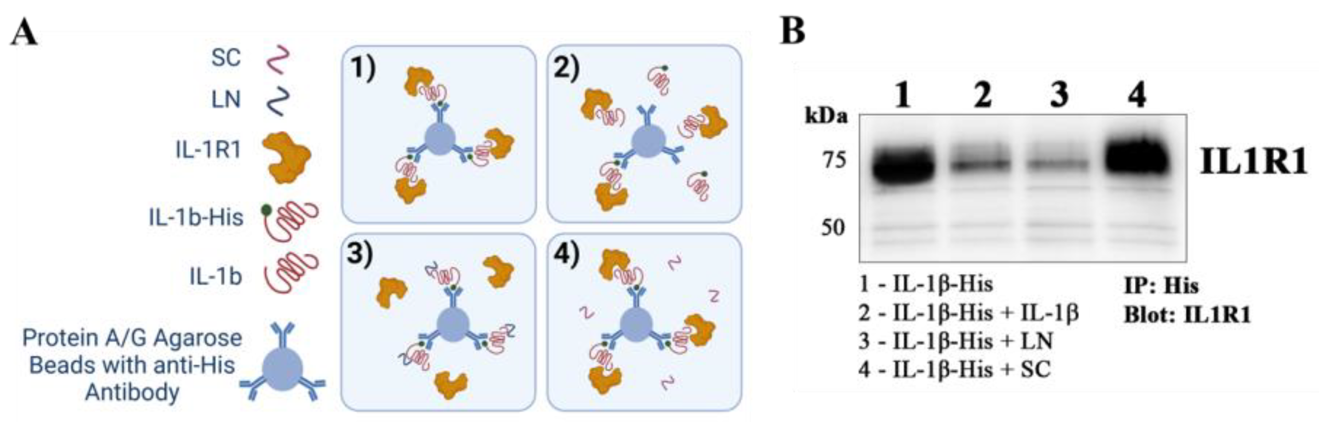 Biomolecules 15 00603 g005