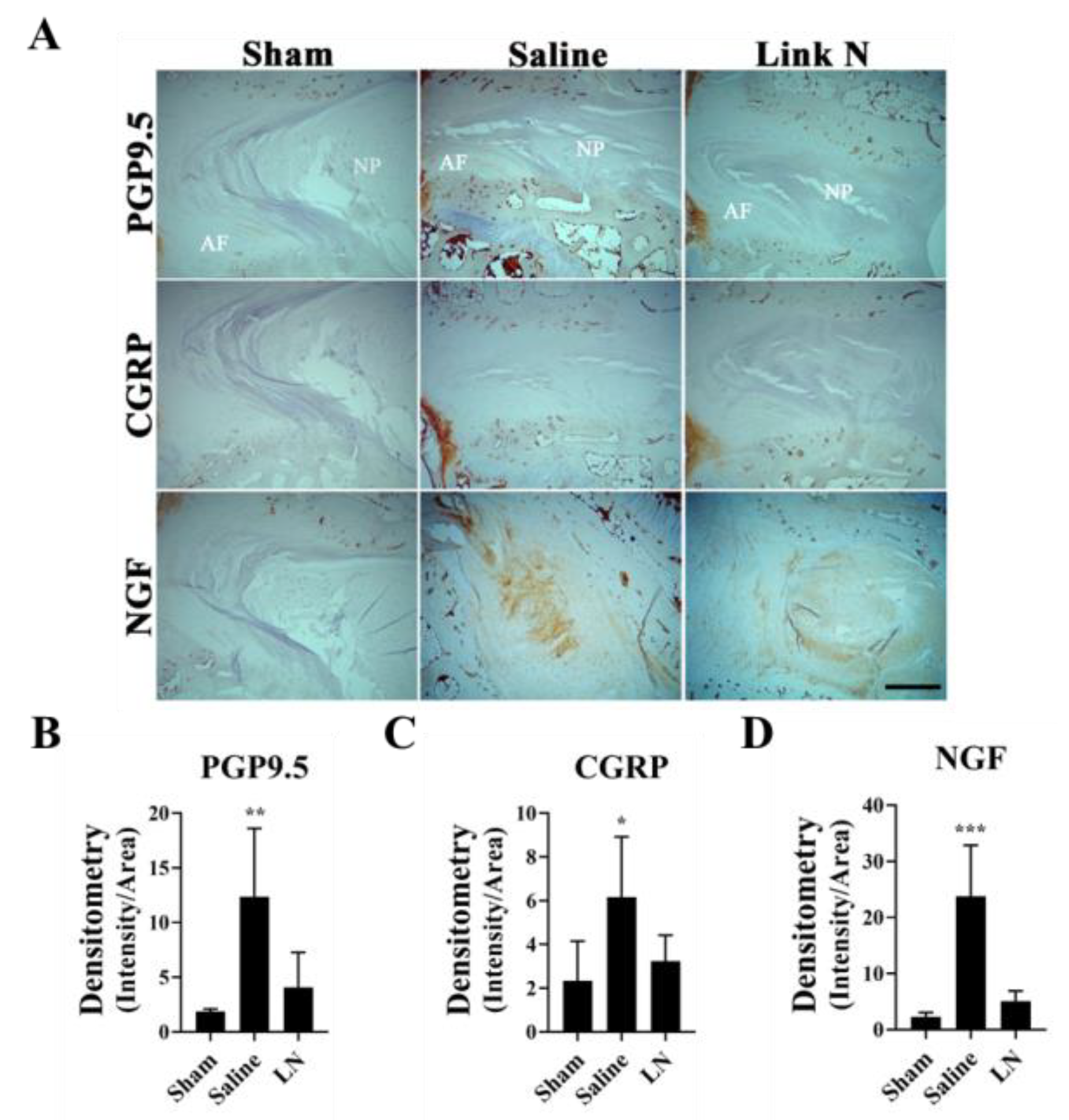 Biomolecules 15 00603 g007