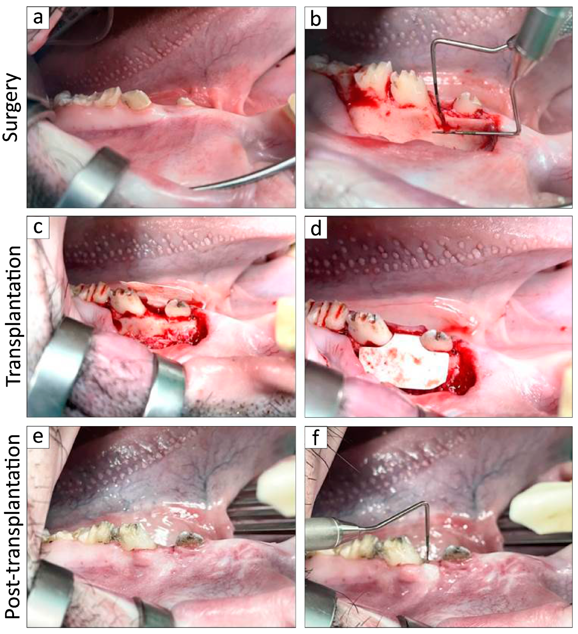 Biomolecules 15 00604 g003