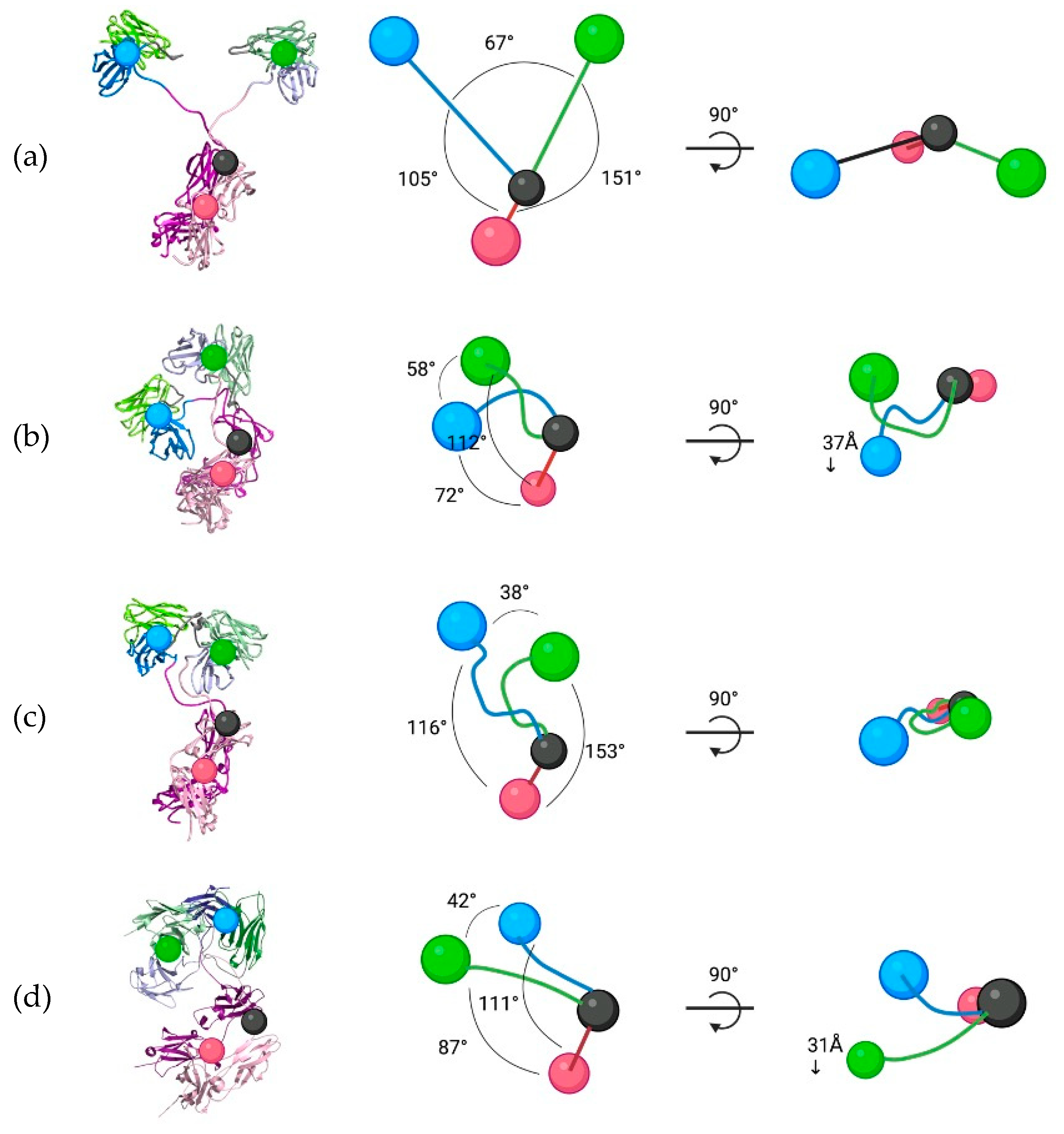 Biomolecules 15 00606 g005