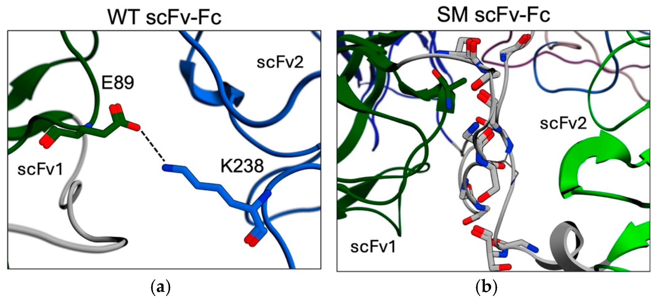 Biomolecules 15 00606 g006