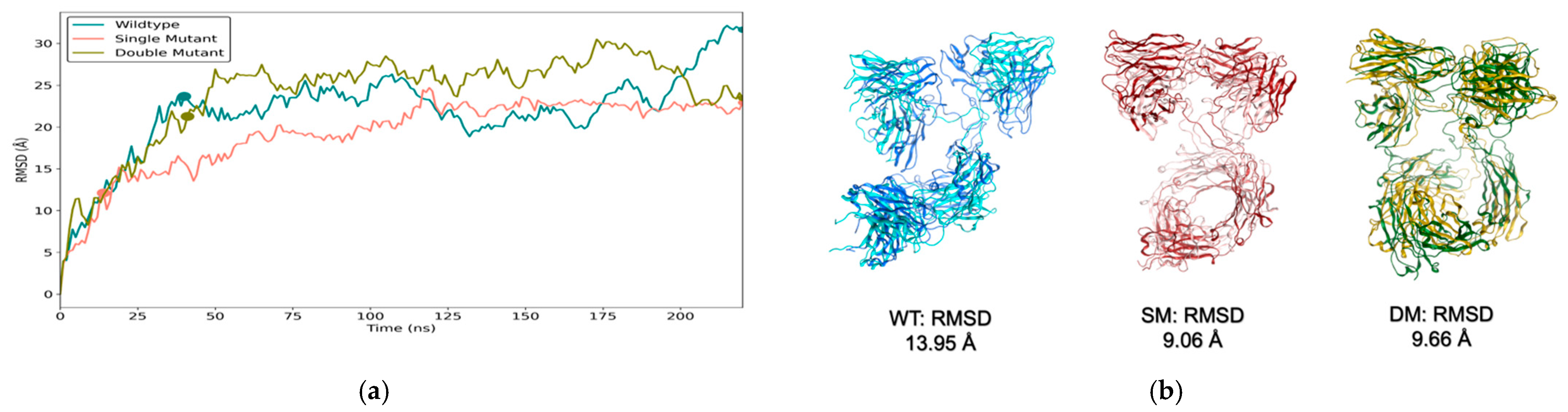 Biomolecules 15 00606 g007