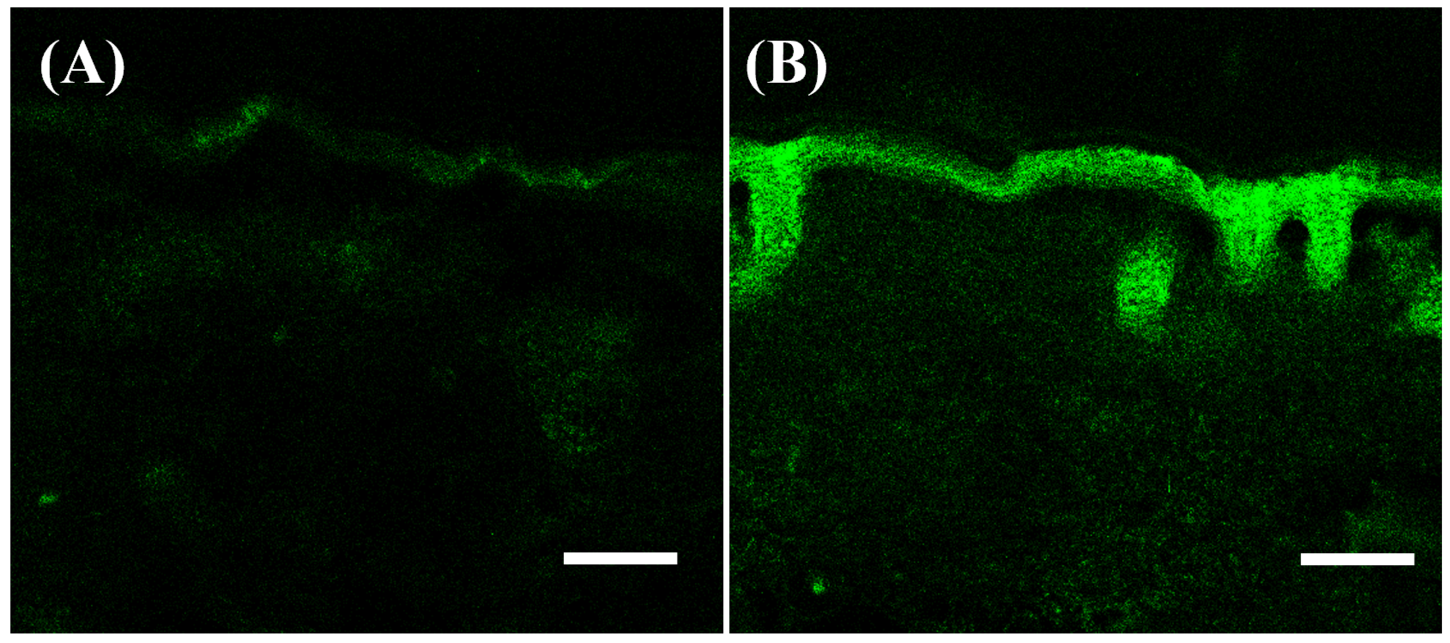 Biomolecules 15 00608 g006