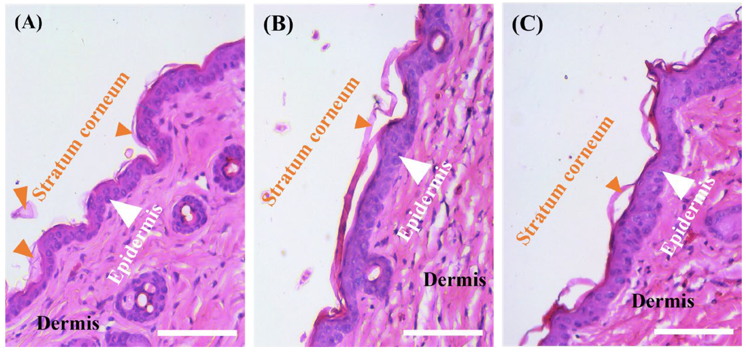 Biomolecules 15 00608 g007