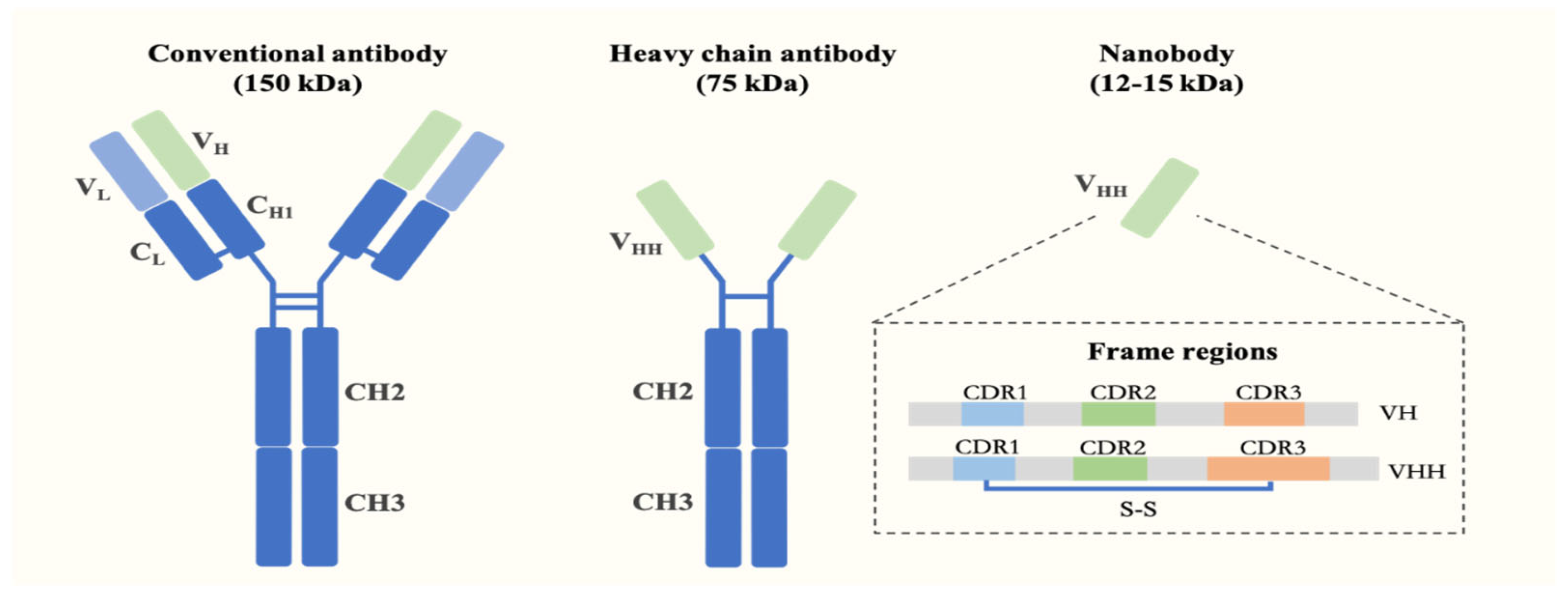 Biomolecules 15 00610 g001