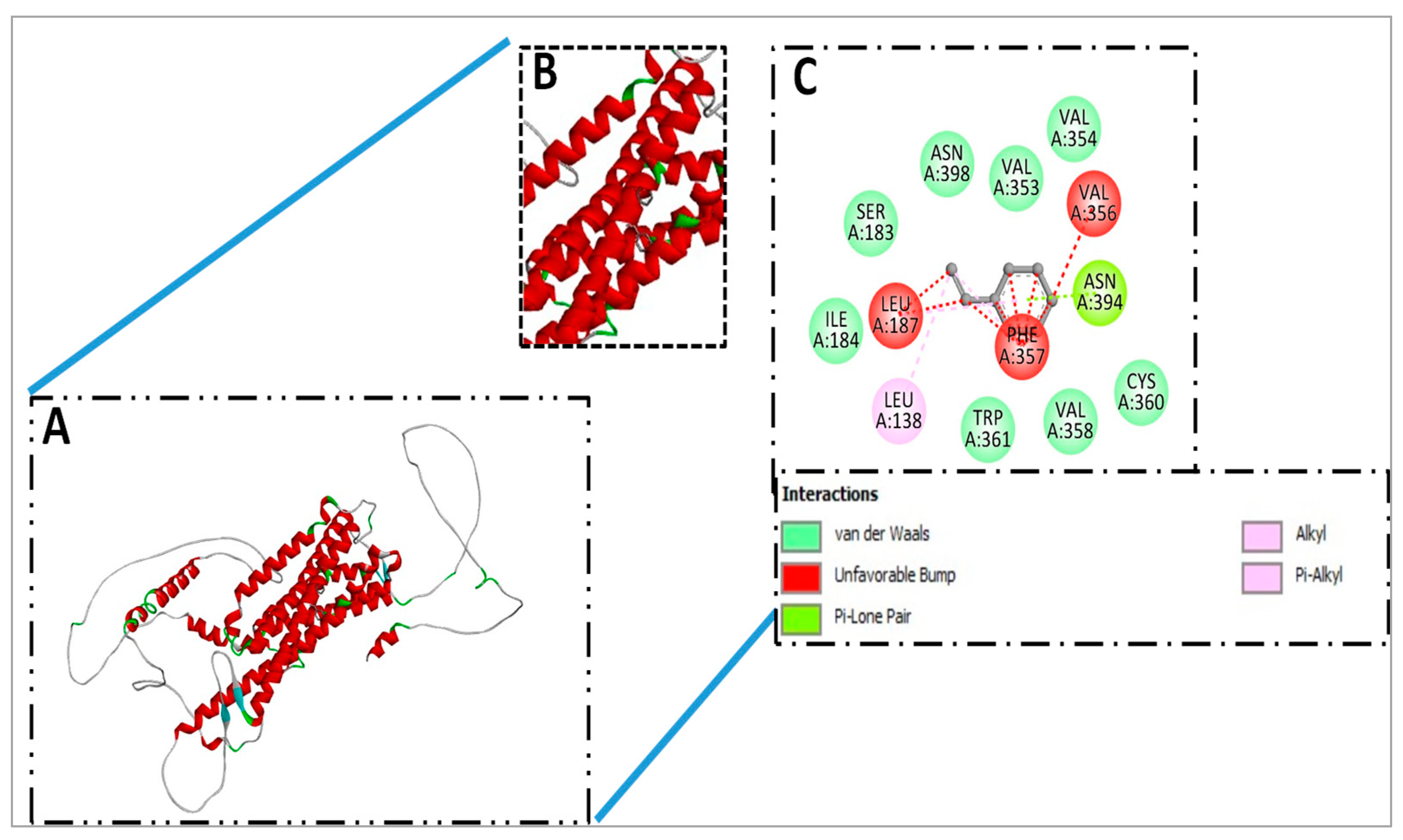 Biomolecules 15 00611 g007 Biomolecules 15 00611 g007