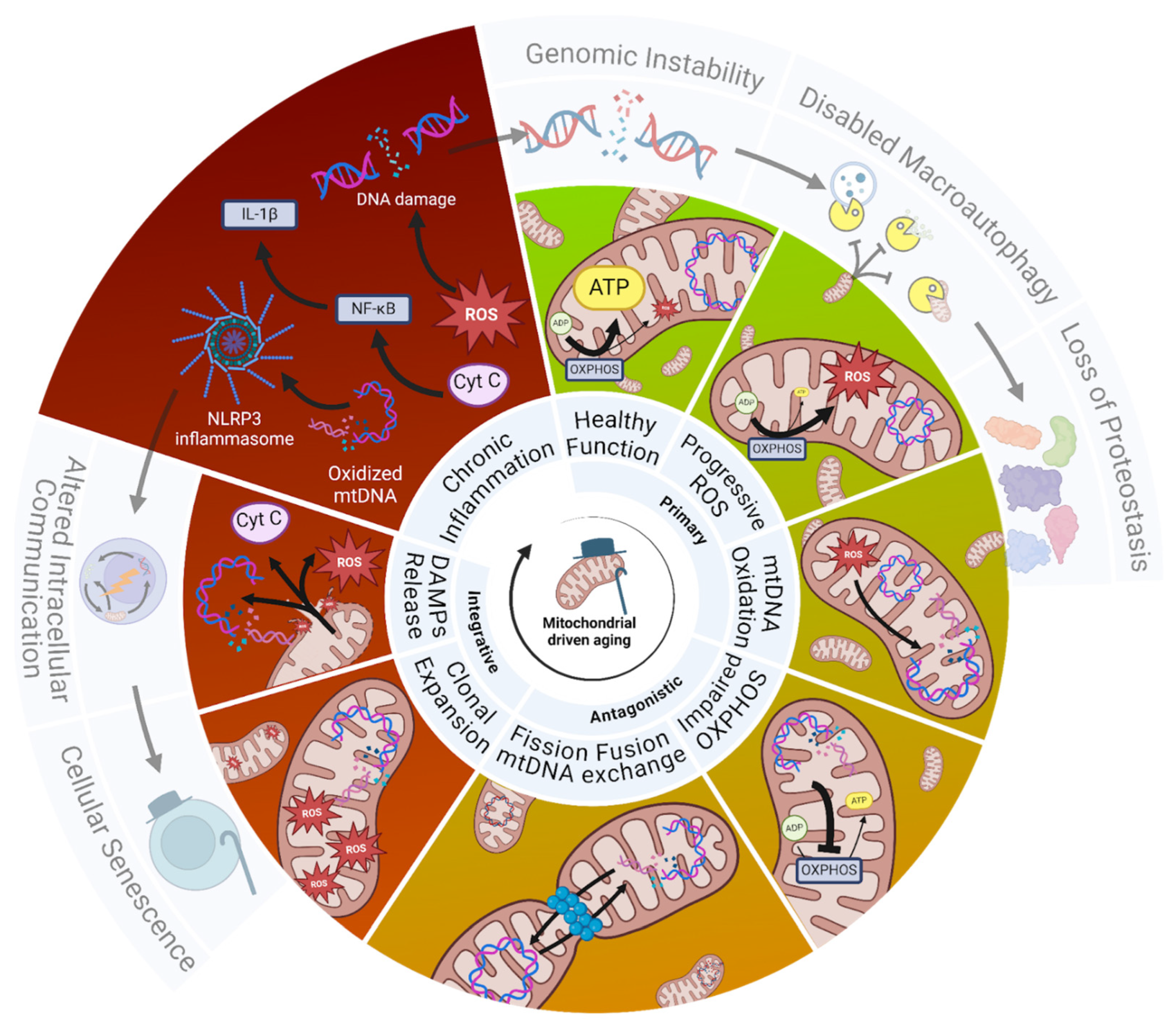 Biomolecules 15 00614 g001