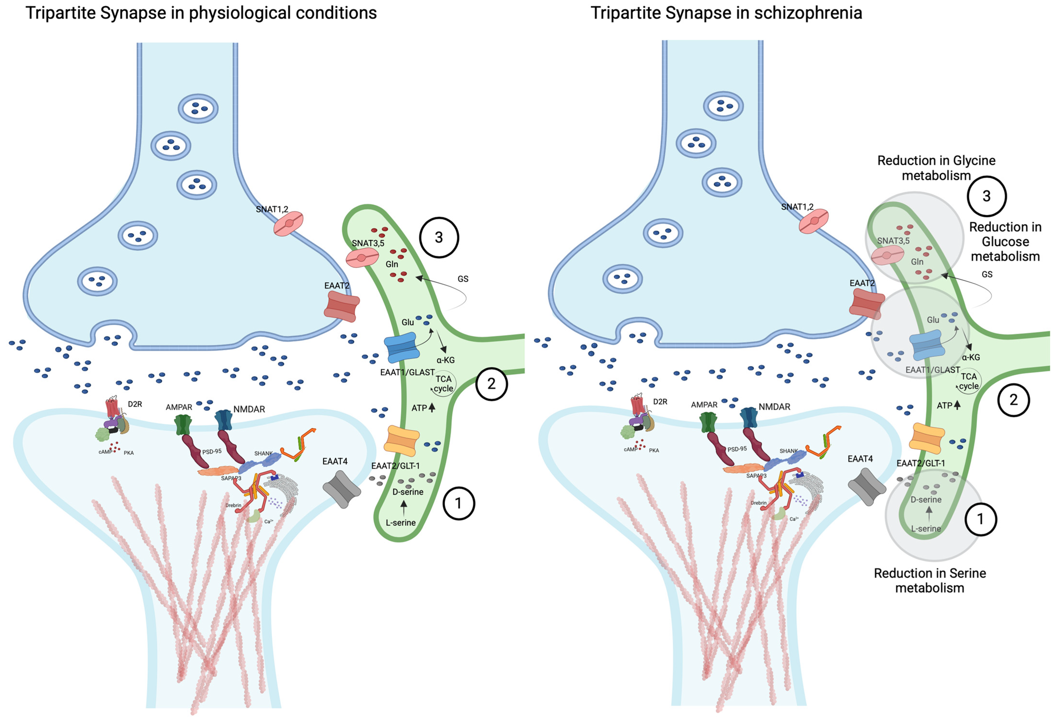 Biomolecules 15 00615 g001