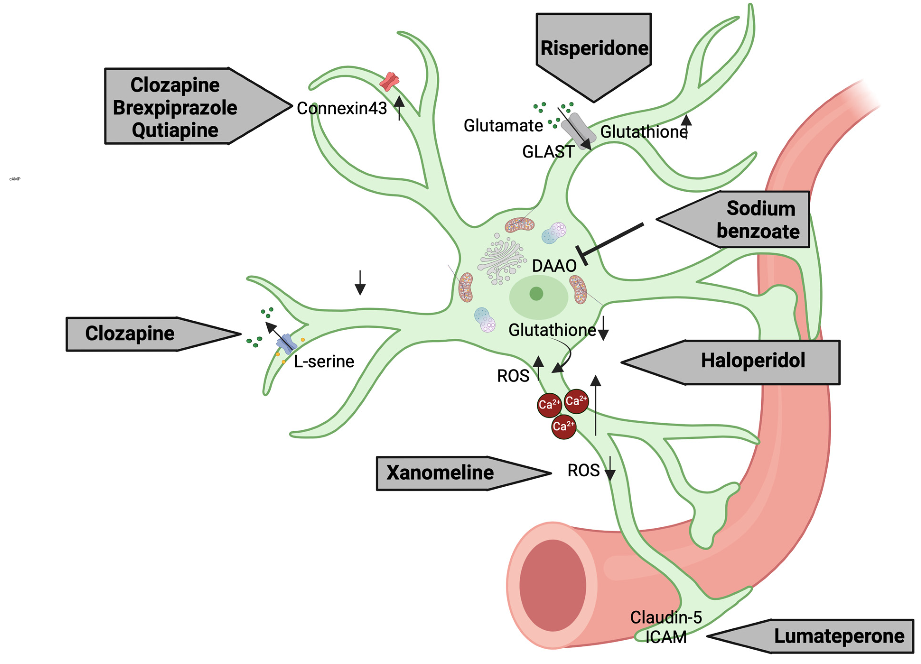 Biomolecules 15 00615 g002