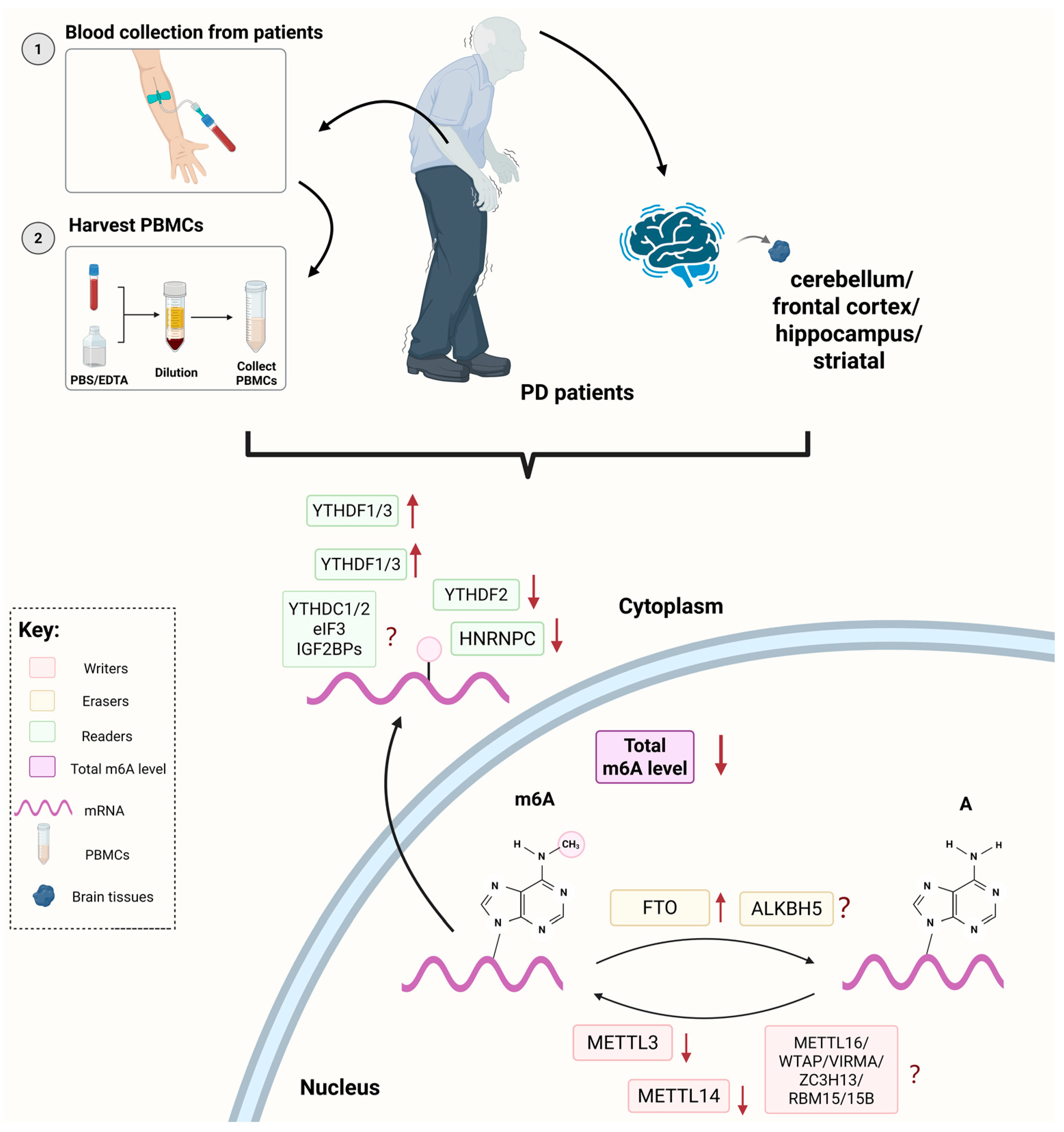 Biomolecules 15 00617 g001