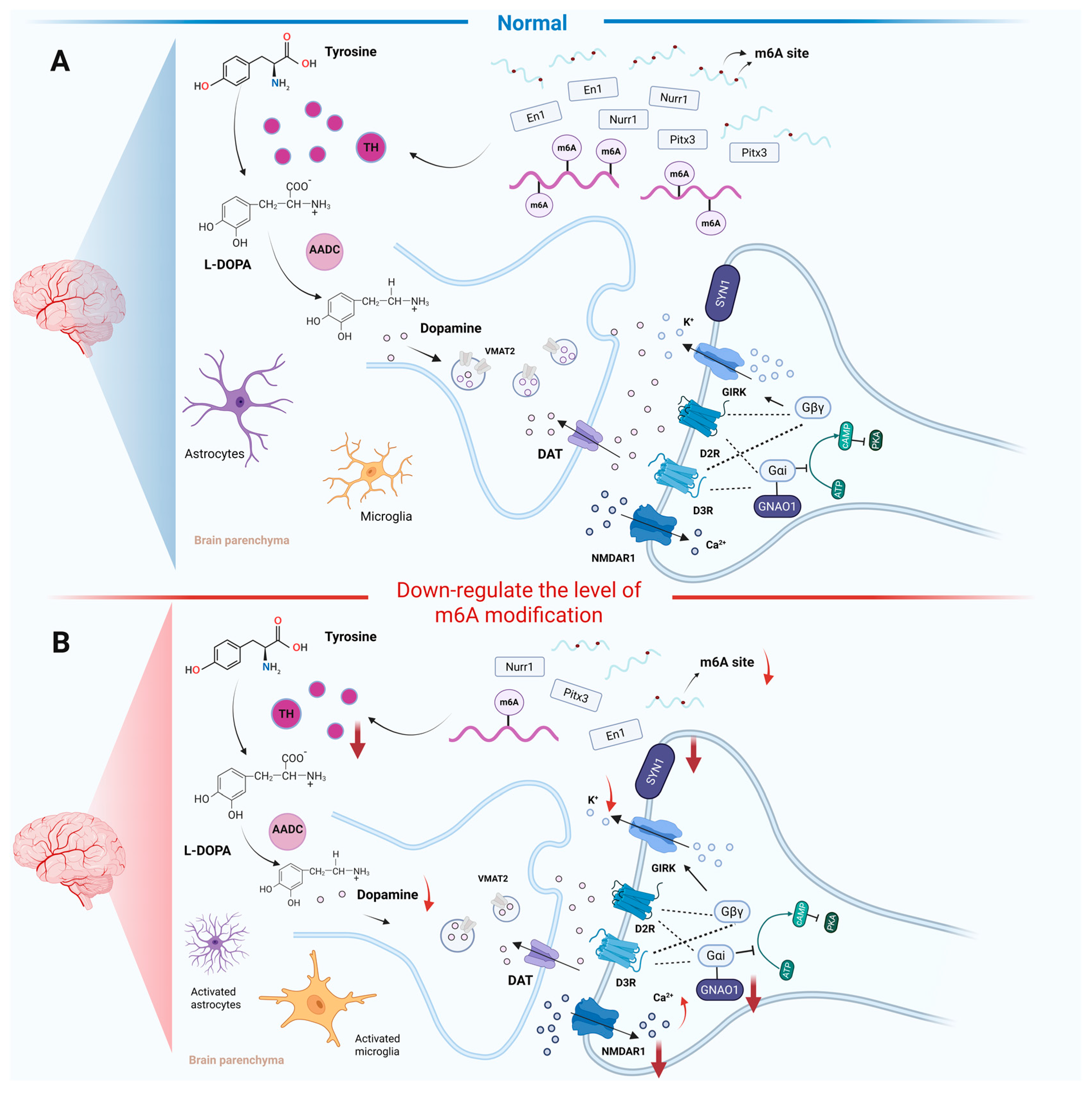 Biomolecules 15 00617 g002
