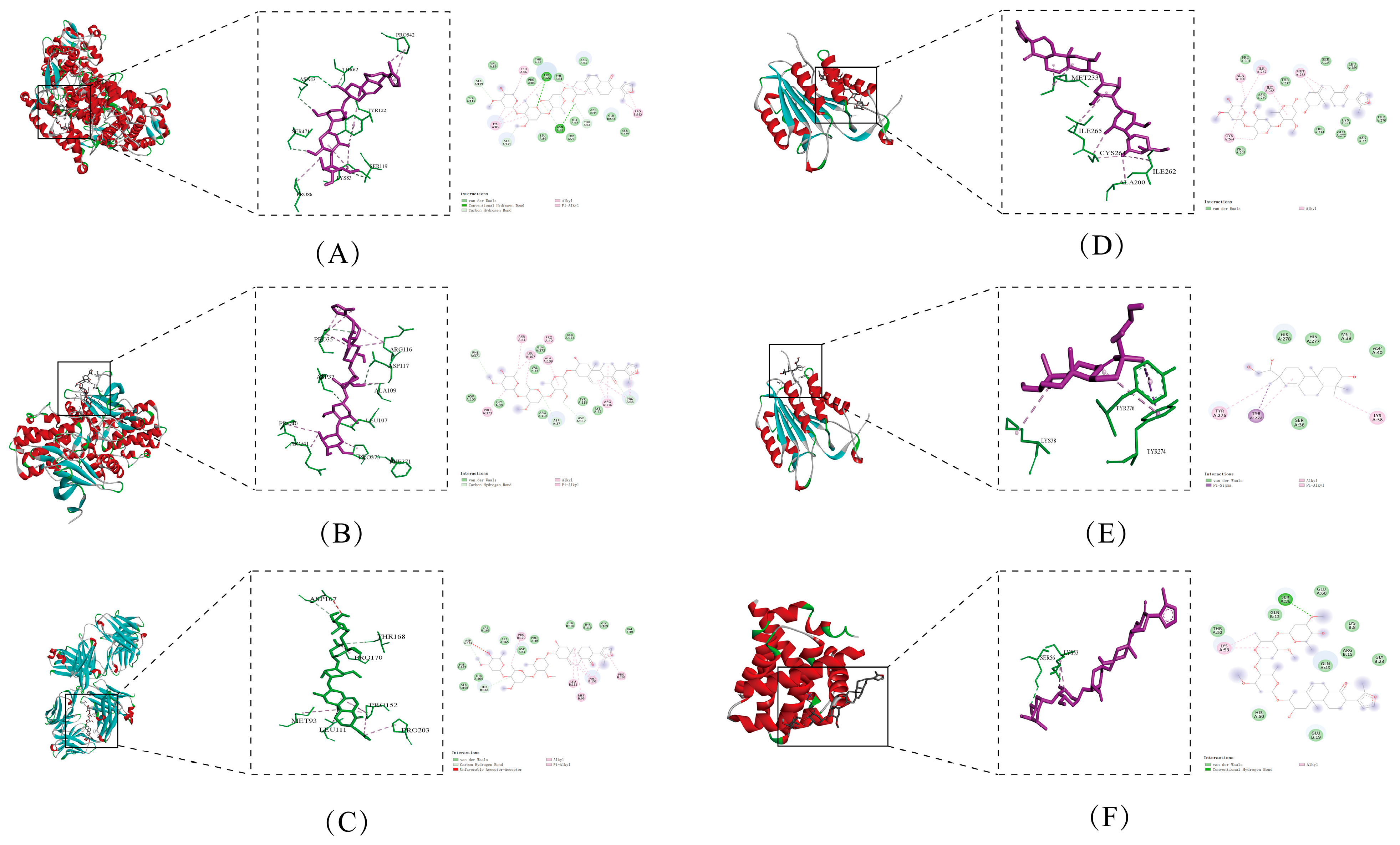 Biomolecules 15 00618 g005