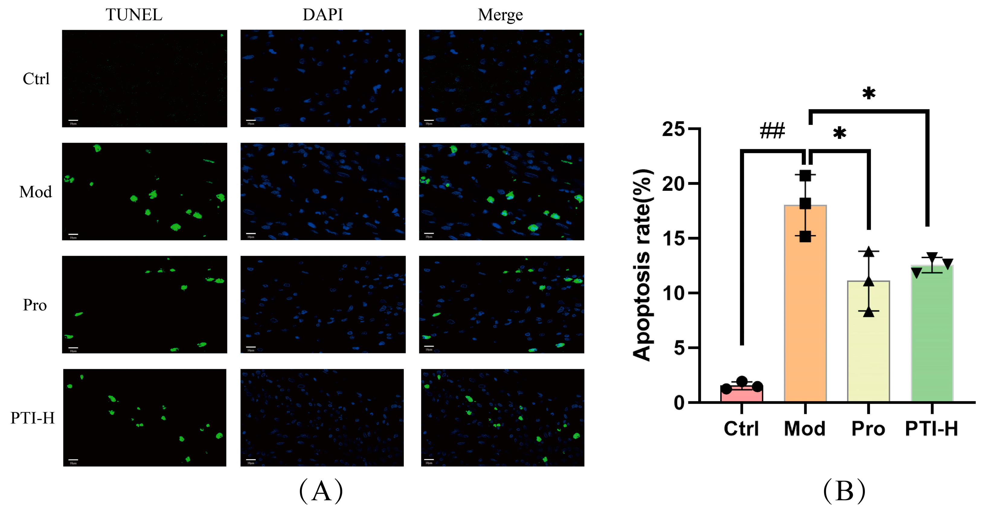 Biomolecules 15 00618 g009