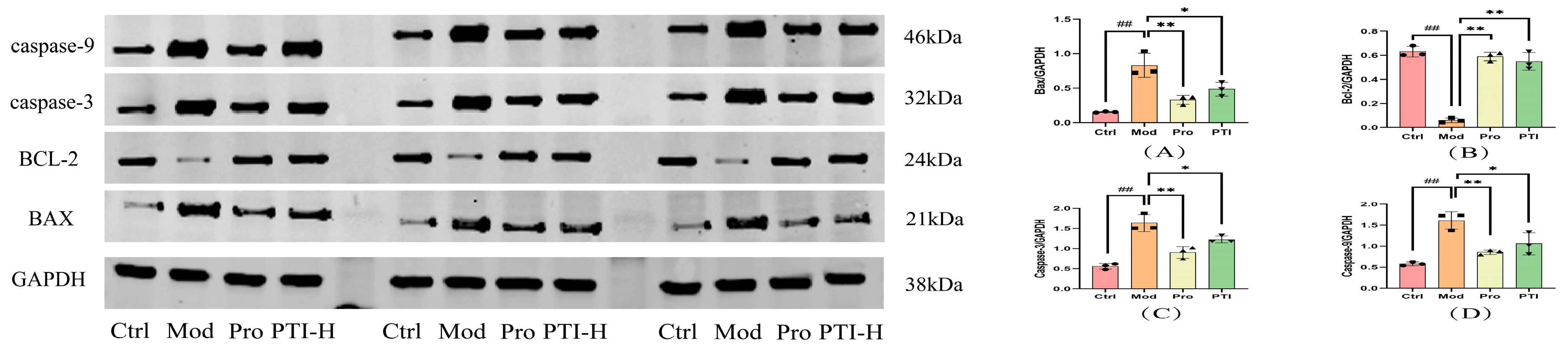 Biomolecules 15 00618 g010