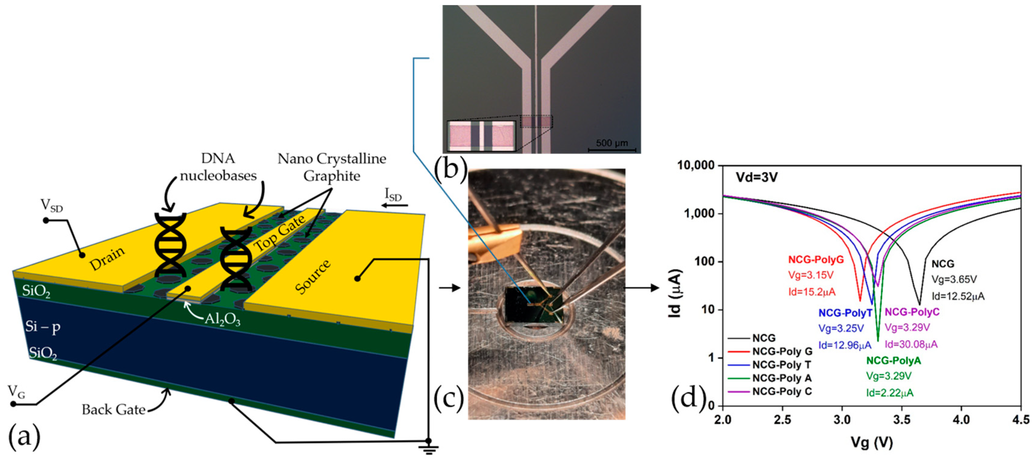 Biomolecules 15 00619 g001