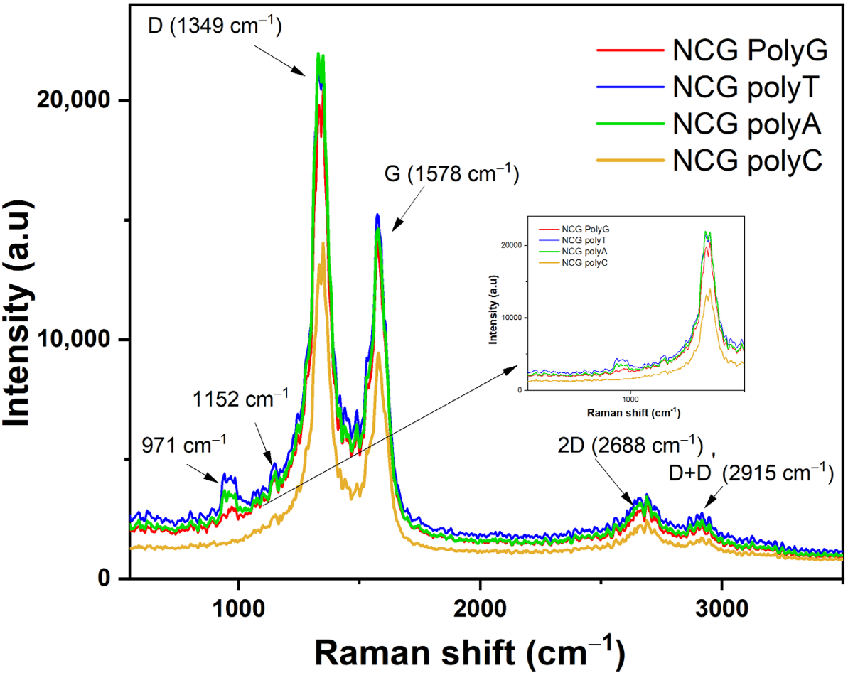 Biomolecules 15 00619 g006