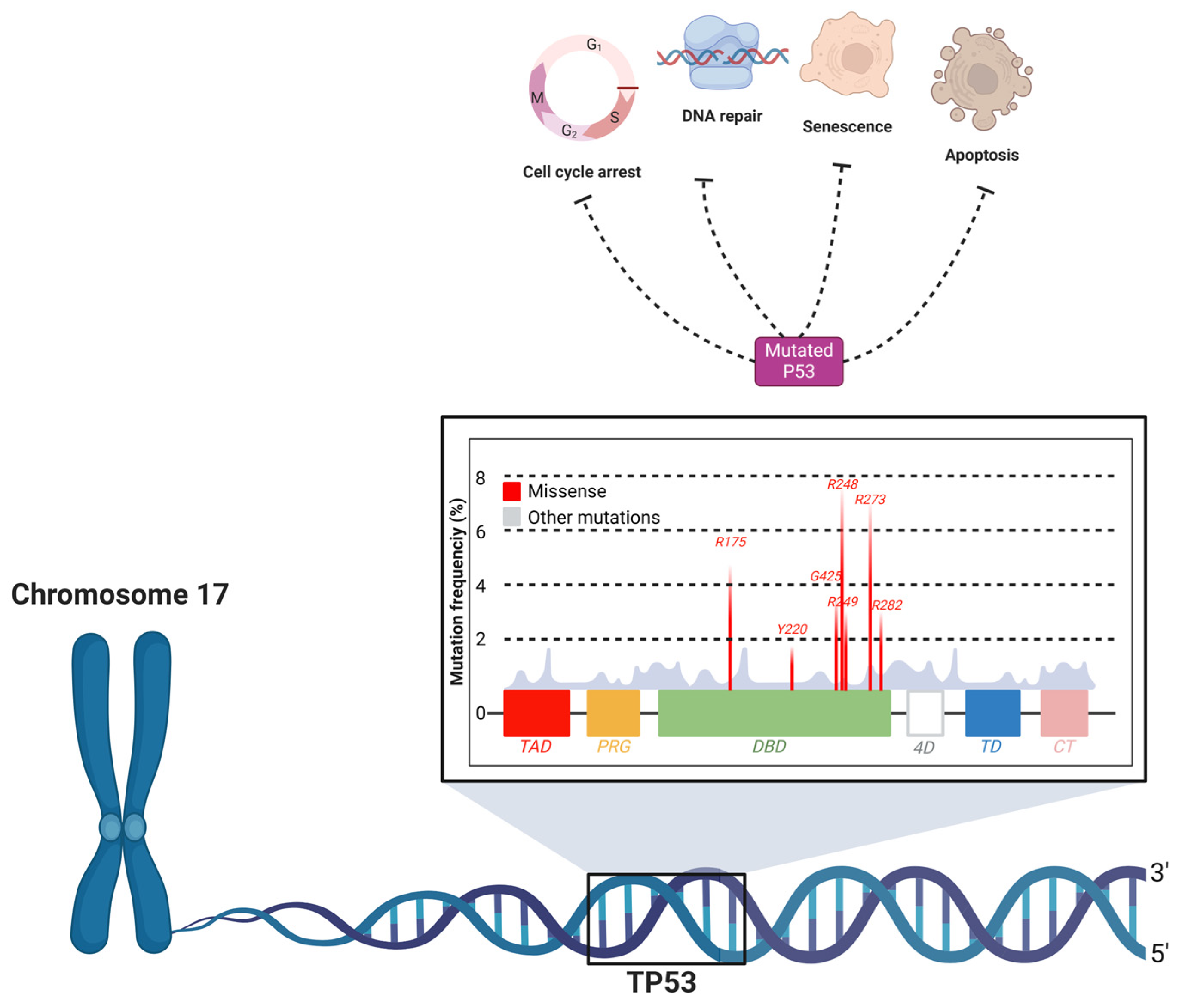 Biomolecules 15 00621 g003 Biomolecules 15 00621 g003