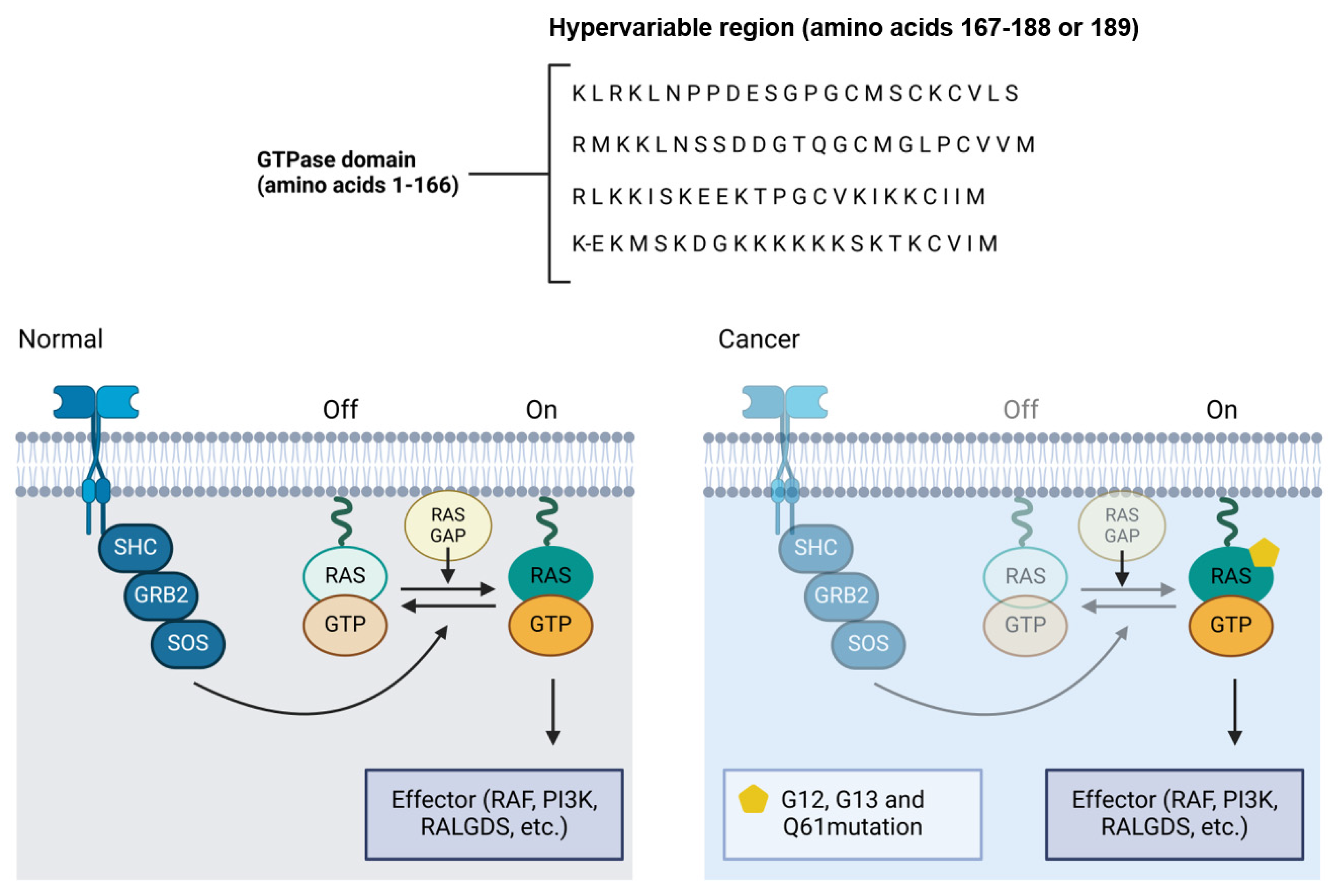 Biomolecules 15 00621 g004 Biomolecules 15 00621 g004