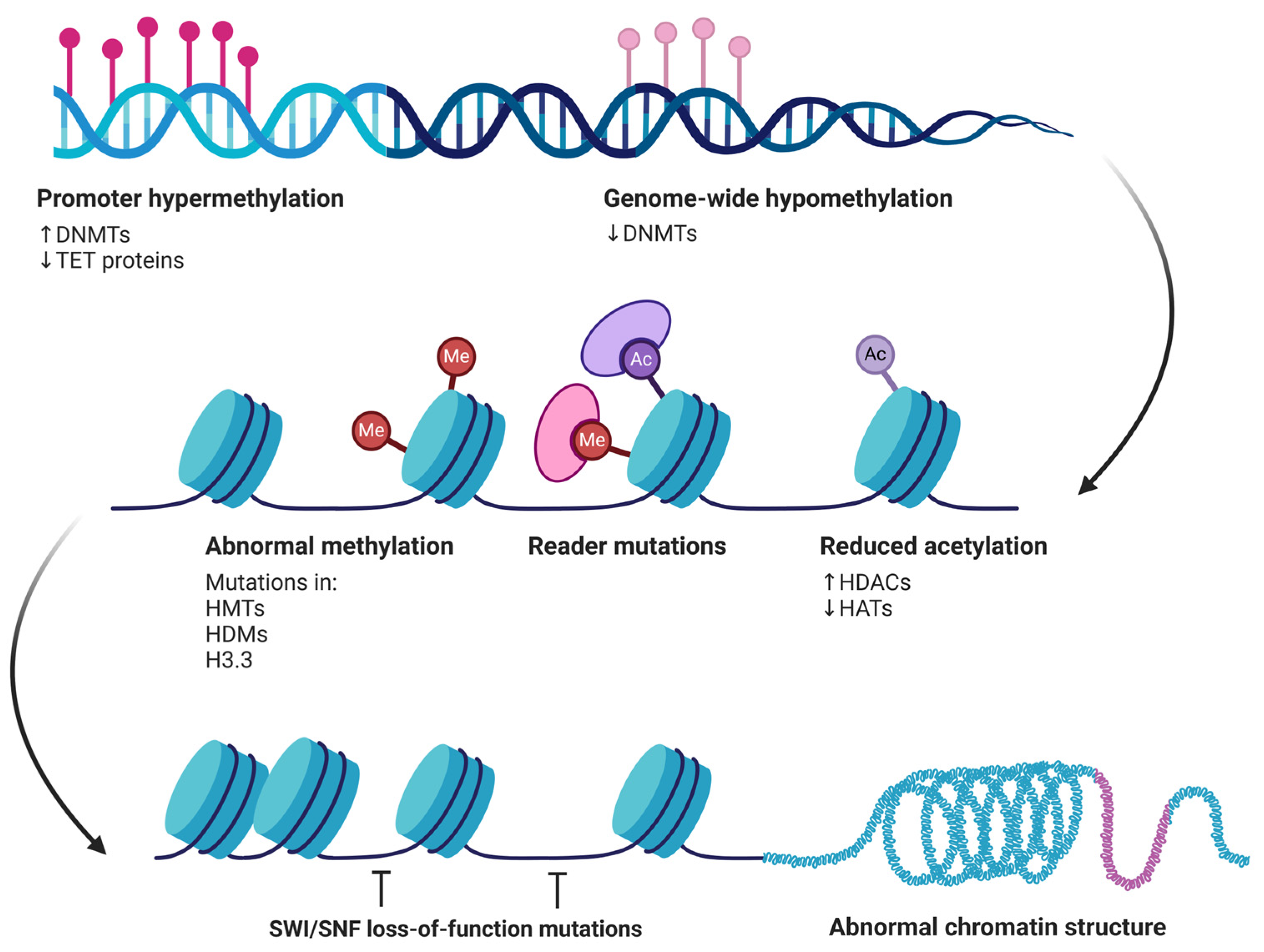 Biomolecules 15 00621 g005 Biomolecules 15 00621 g005