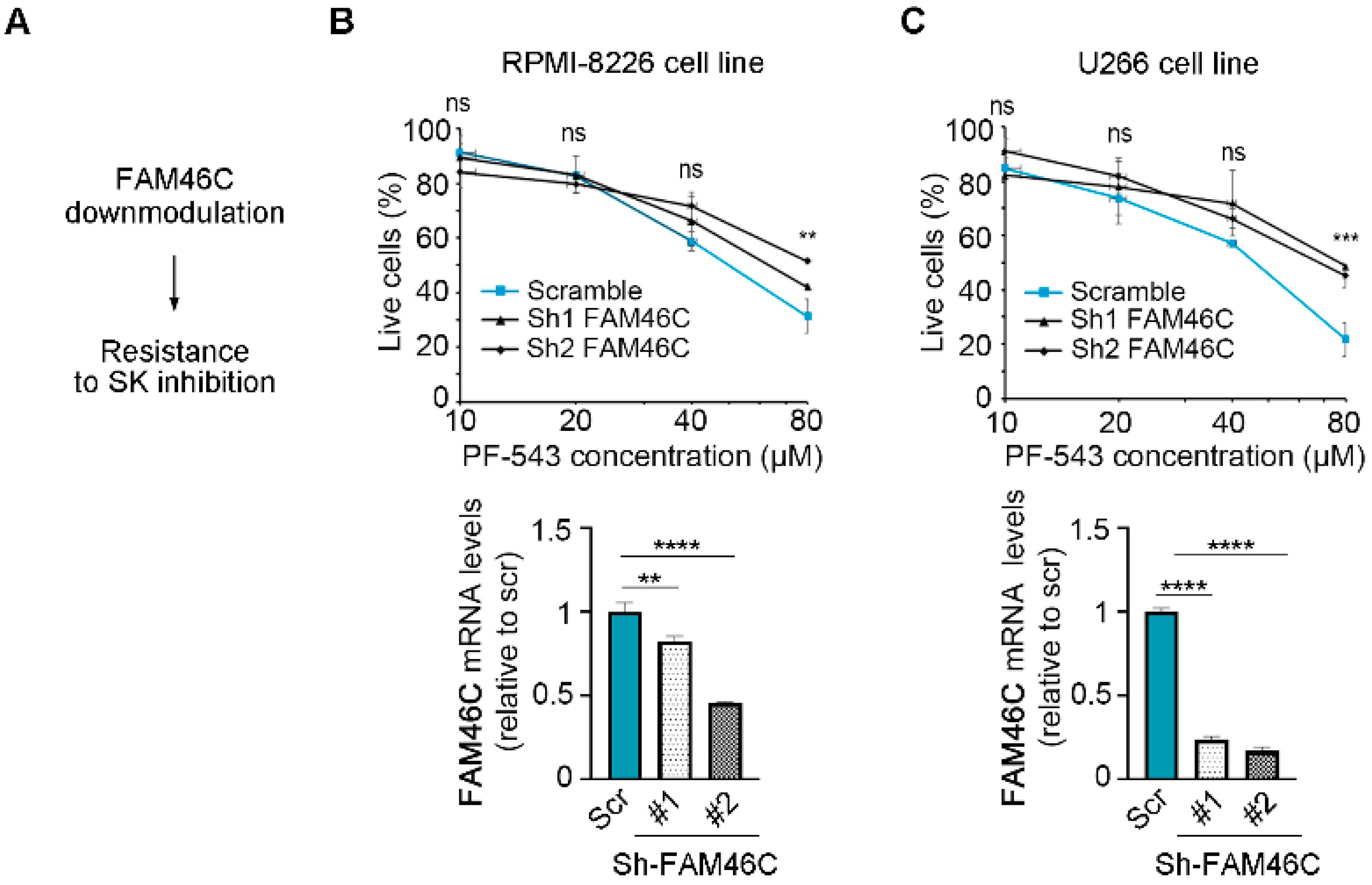 Biomolecules 15 00623 g003
