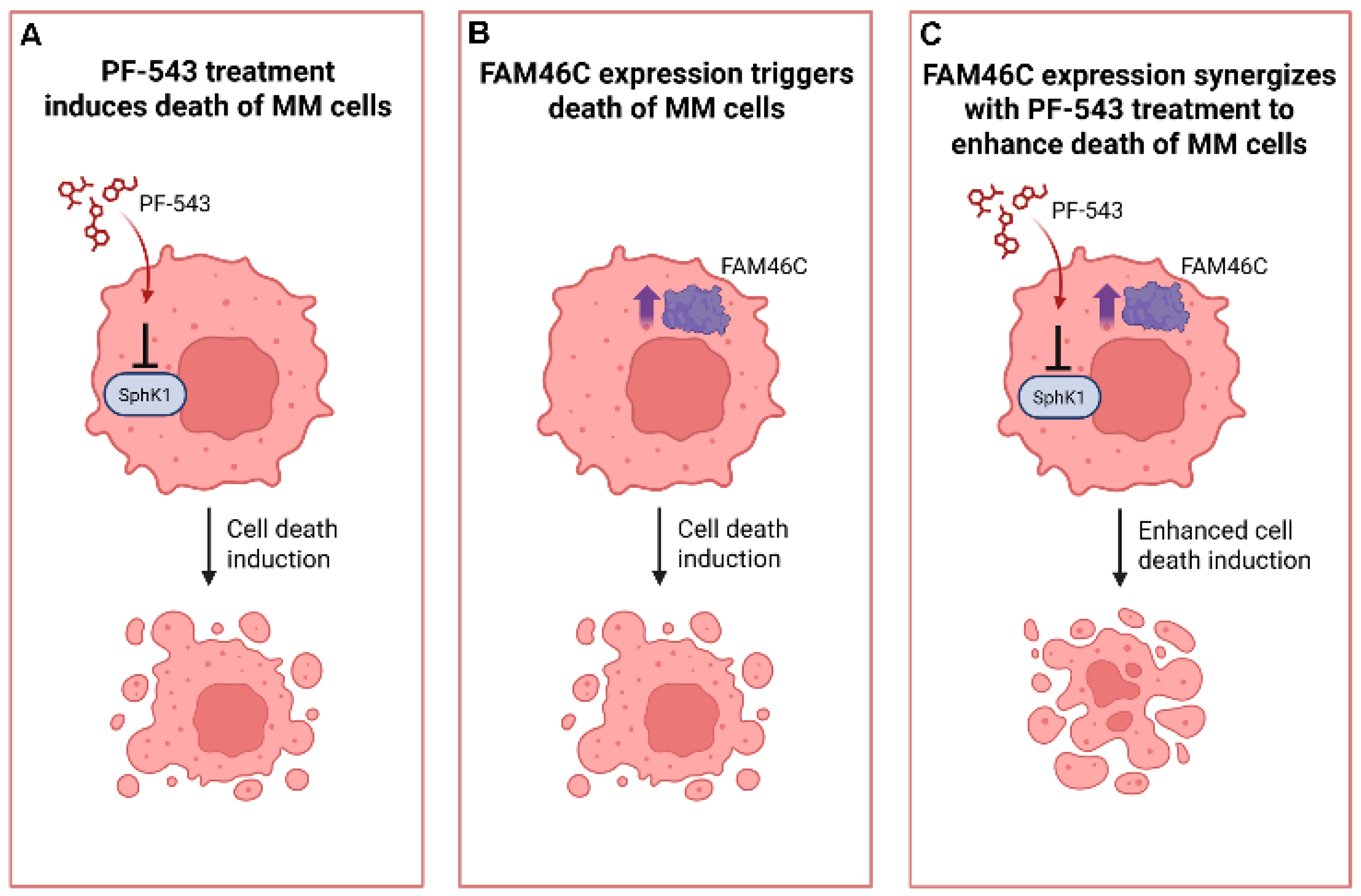 Biomolecules 15 00623 g006