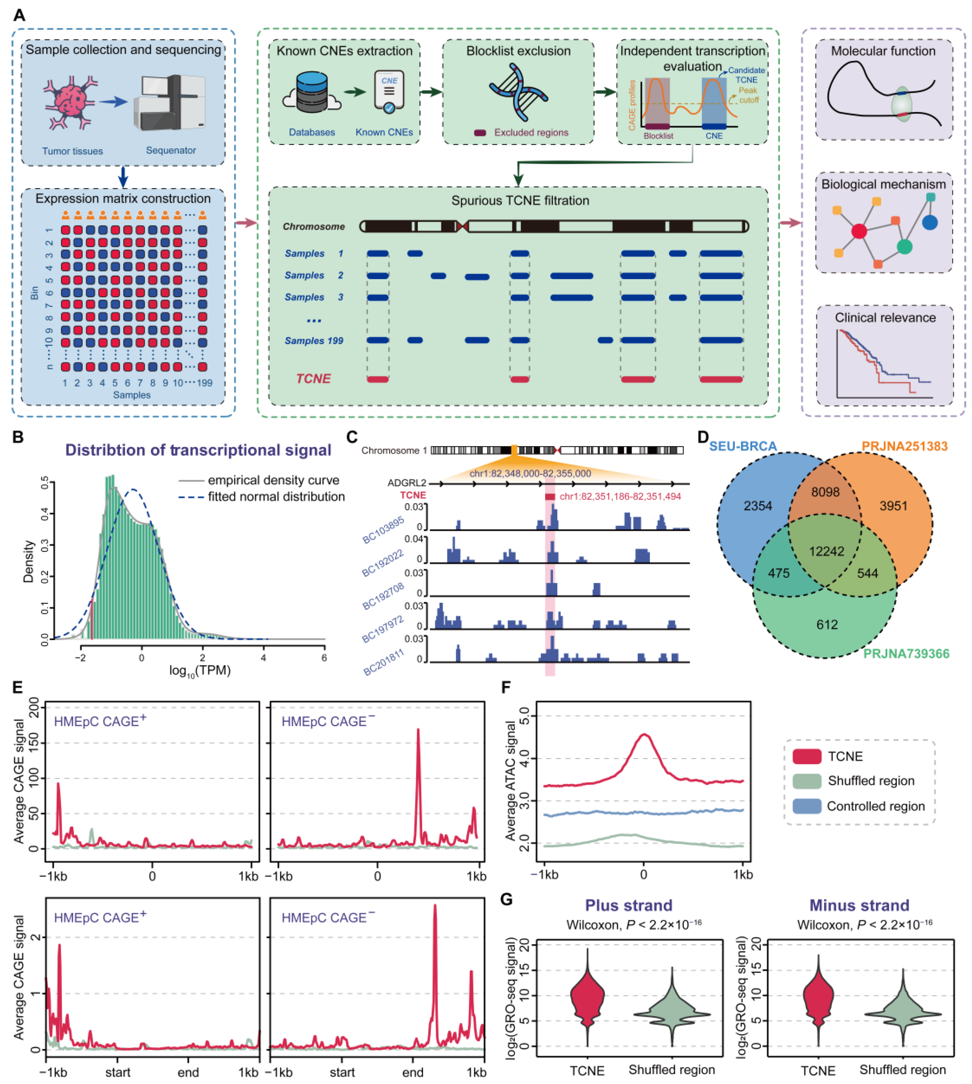 Biomolecules 15 00627 g001