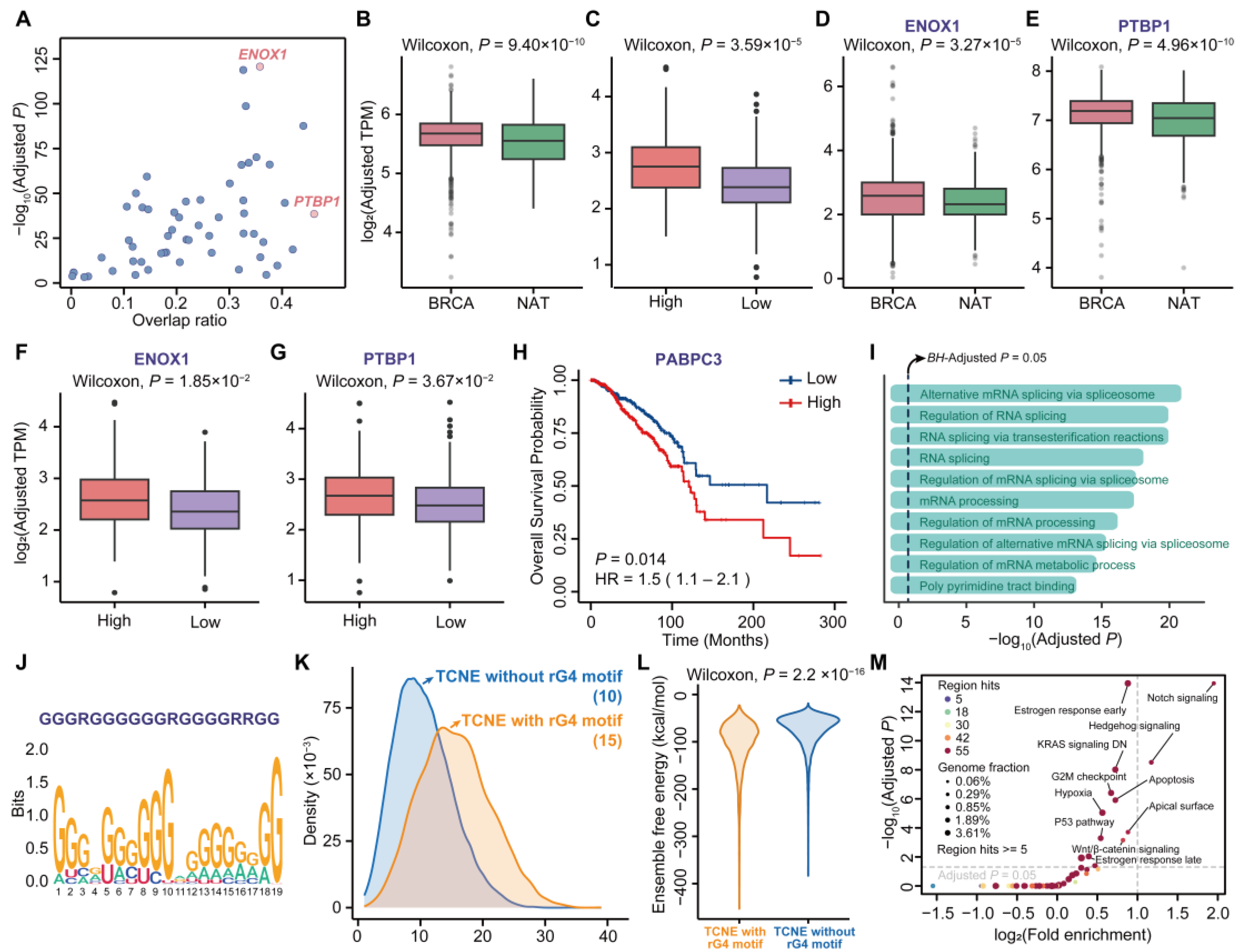 Biomolecules 15 00627 g004