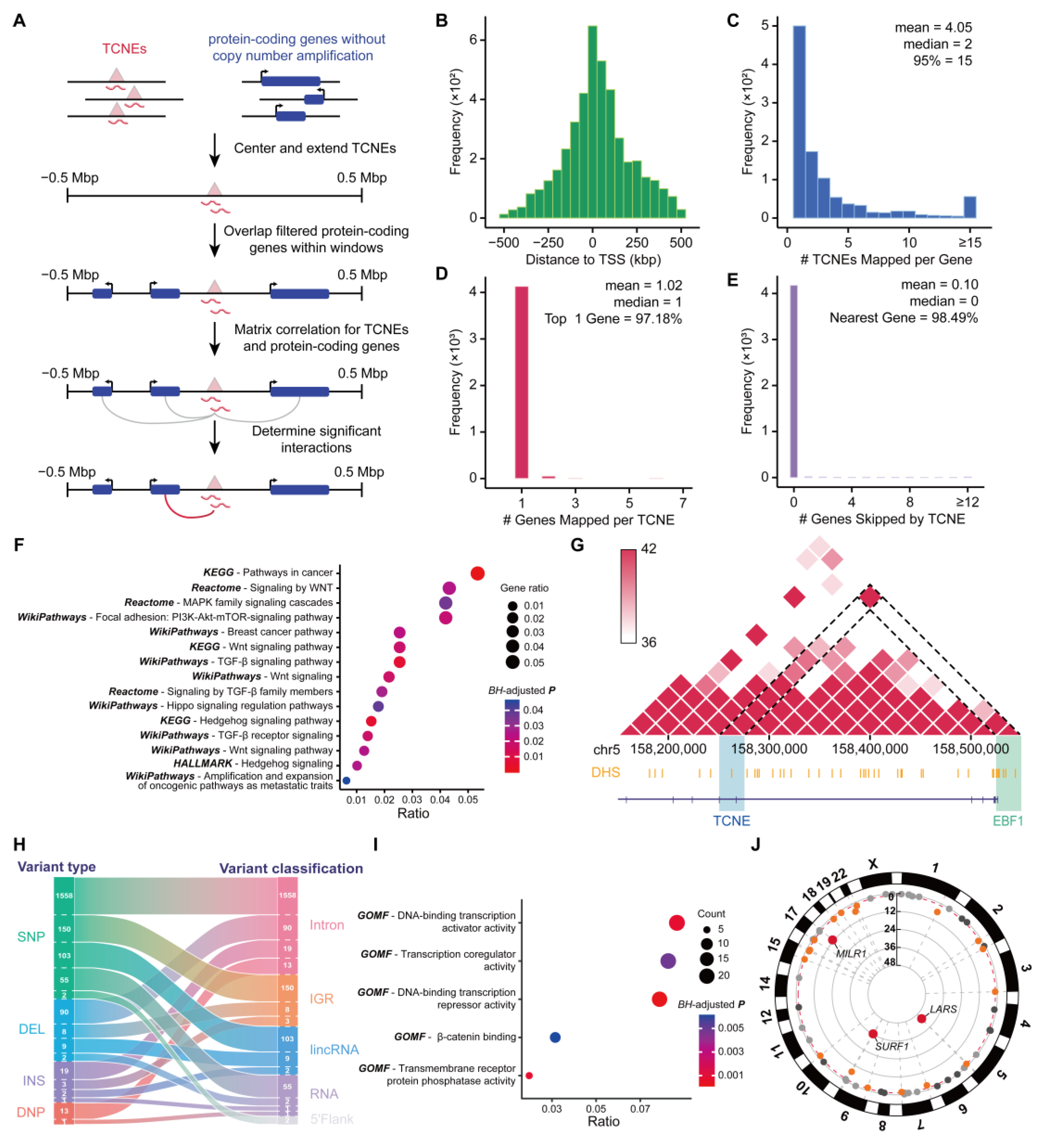 Biomolecules 15 00627 g005