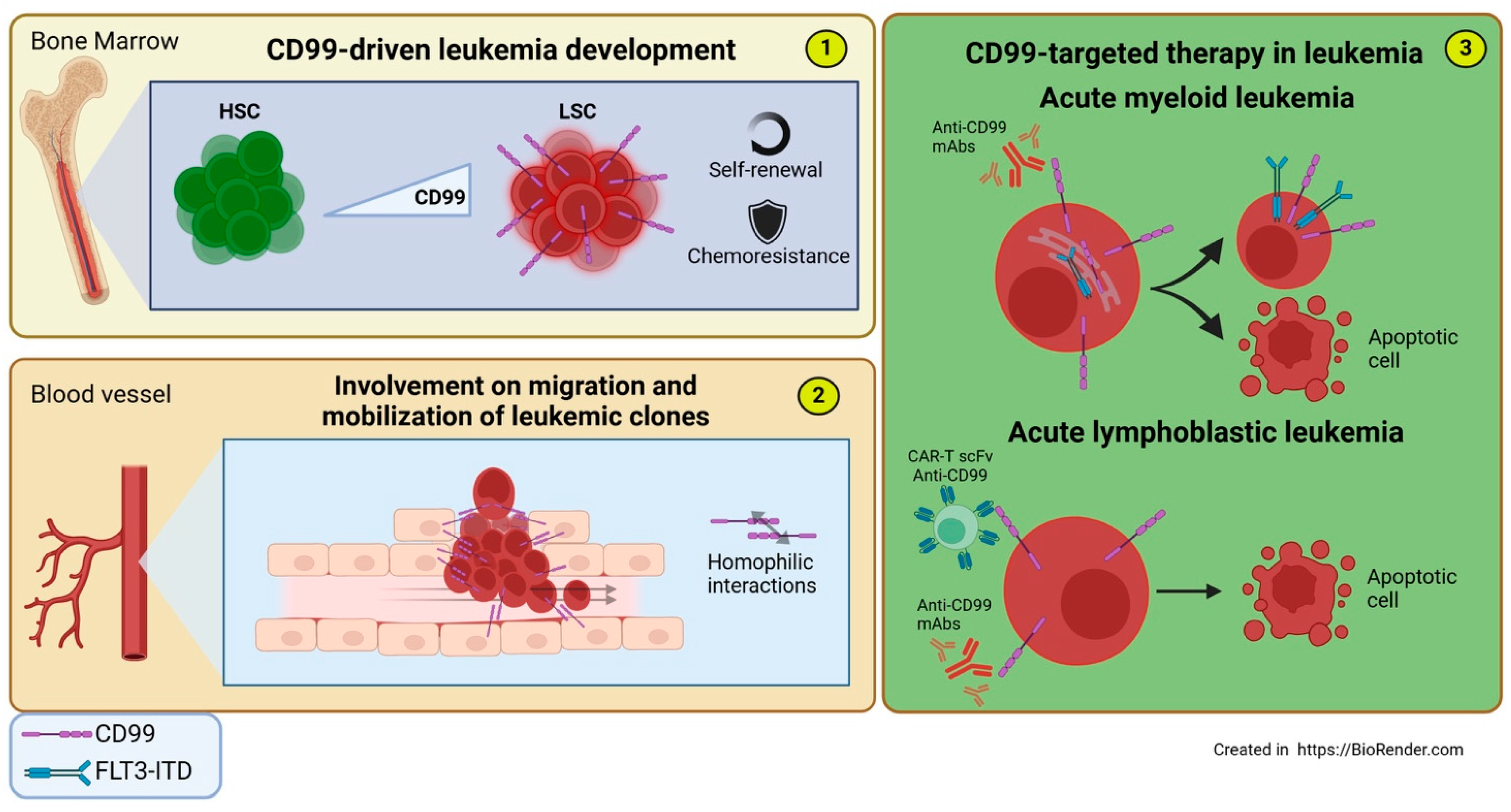 Biomolecules 15 00632 g005
