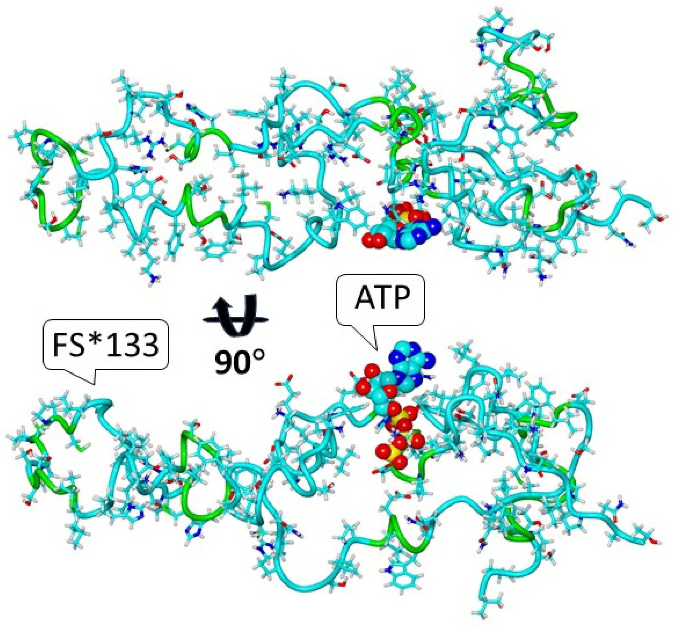 Biomolecules 15 00635 g003