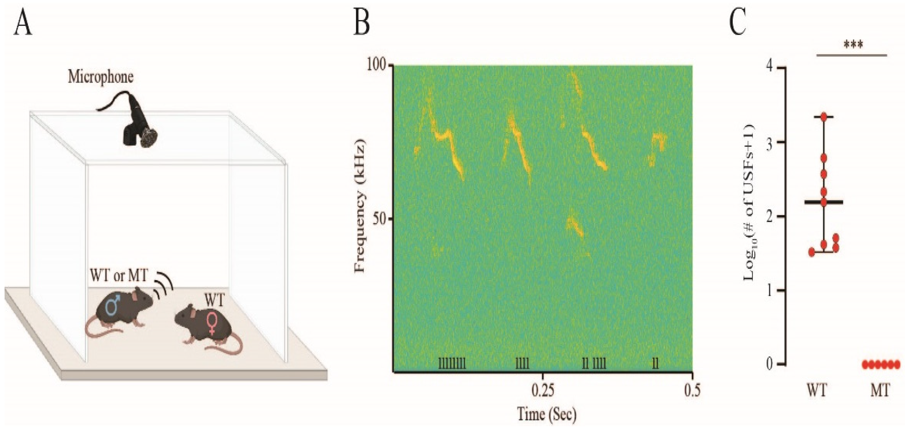 Biomolecules 15 00635 g006