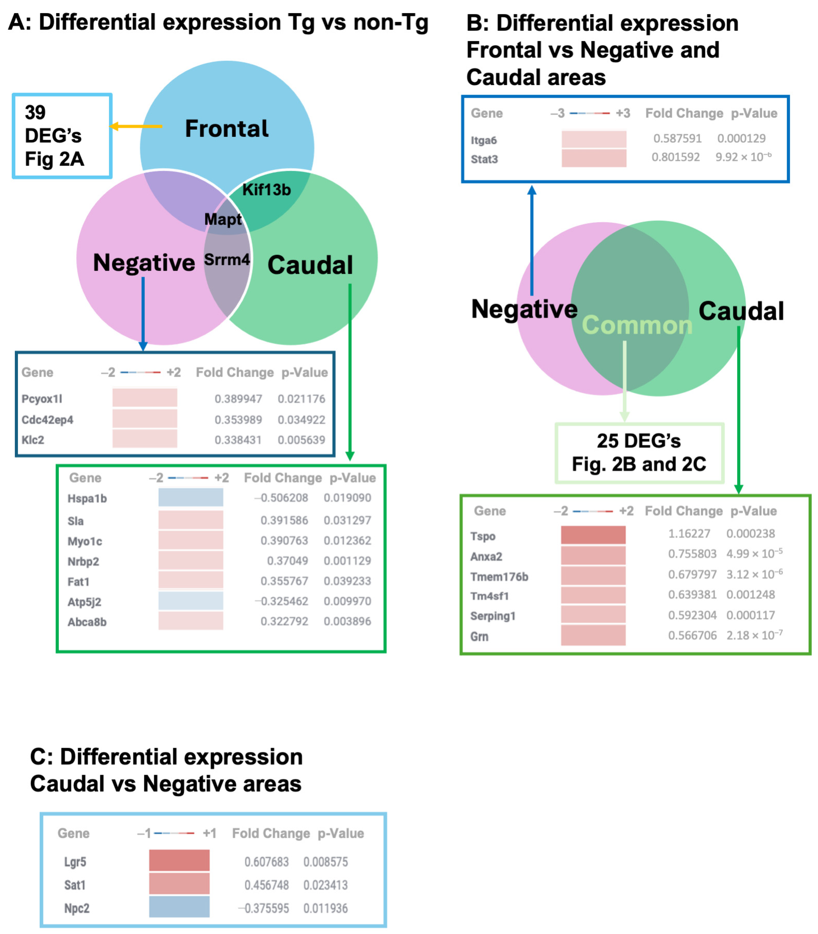 Biomolecules 15 00636 g001